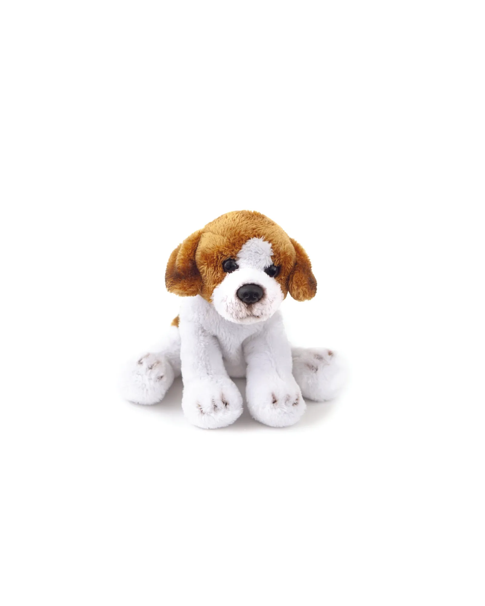Animal Allsorts Benny Junior Beagle Small Clearance