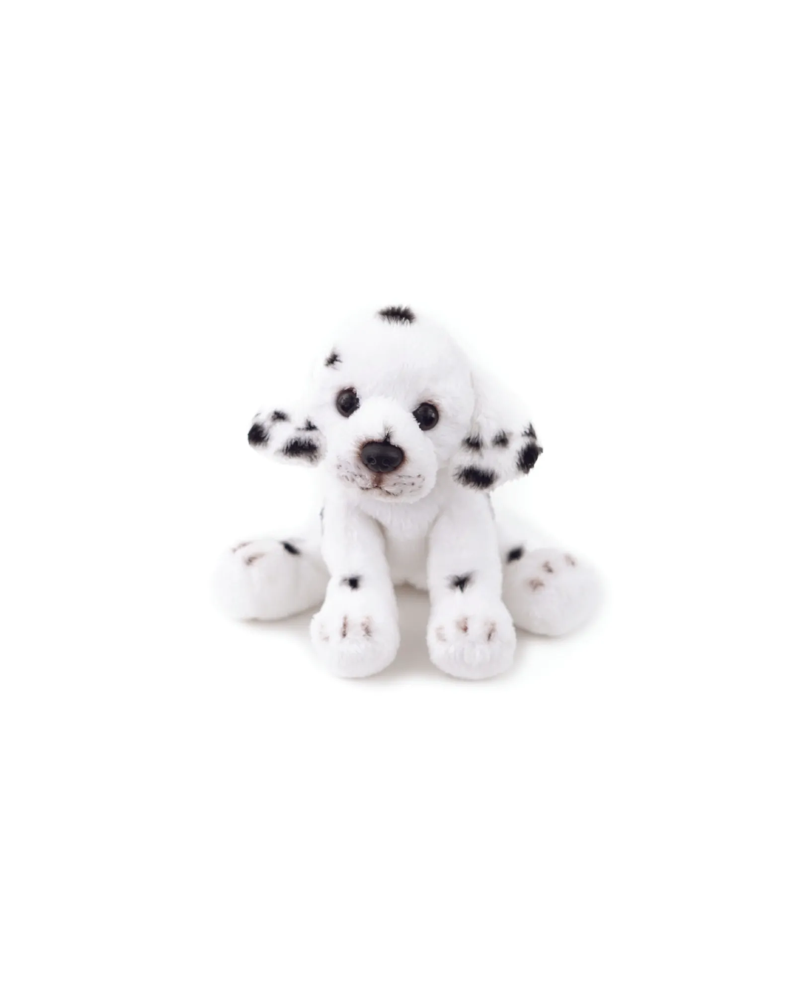 Animal Allsorts Daisy Junior Dalmatian Small Sale
