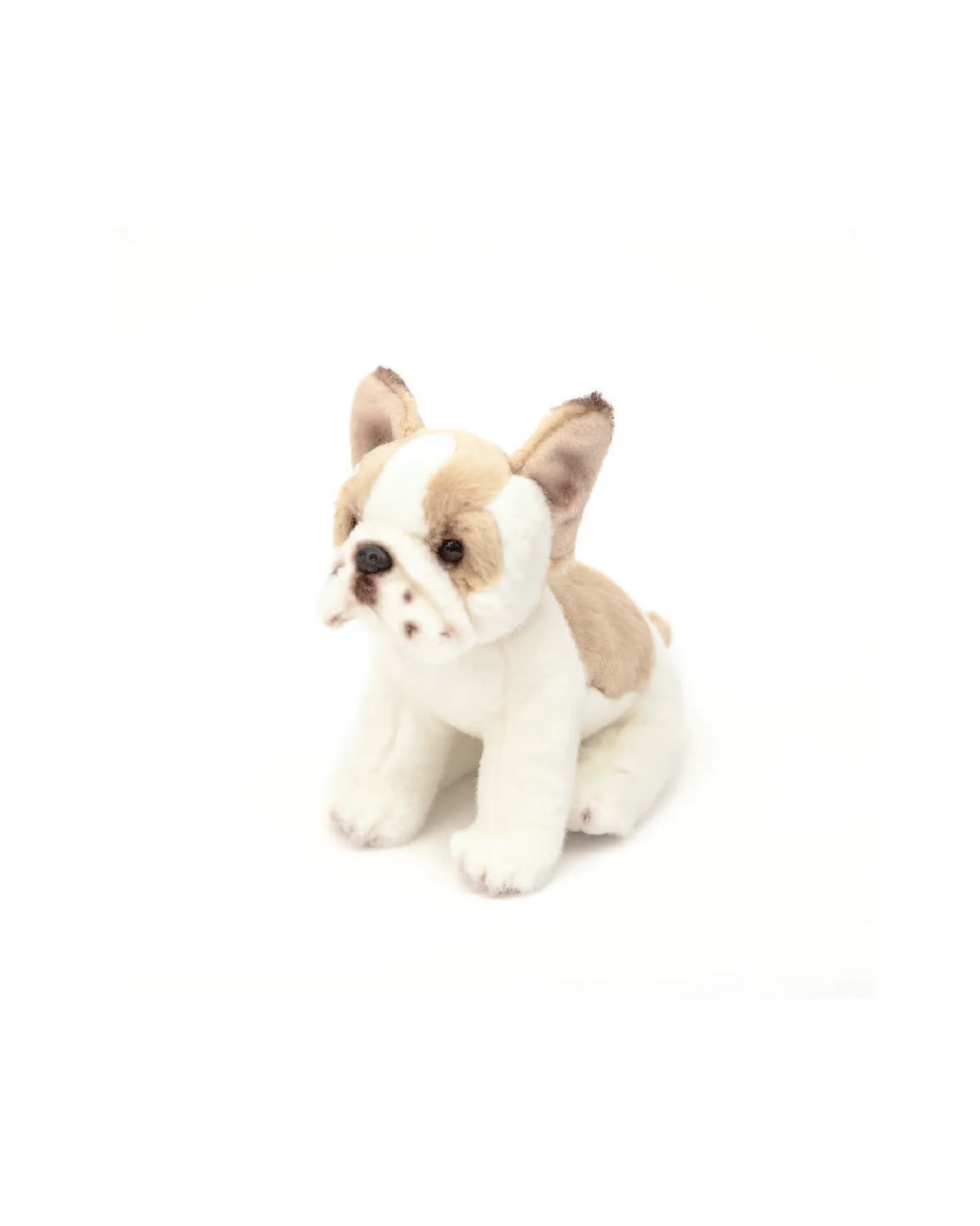 Animal Allsorts Frankie French Bulldog Cheap
