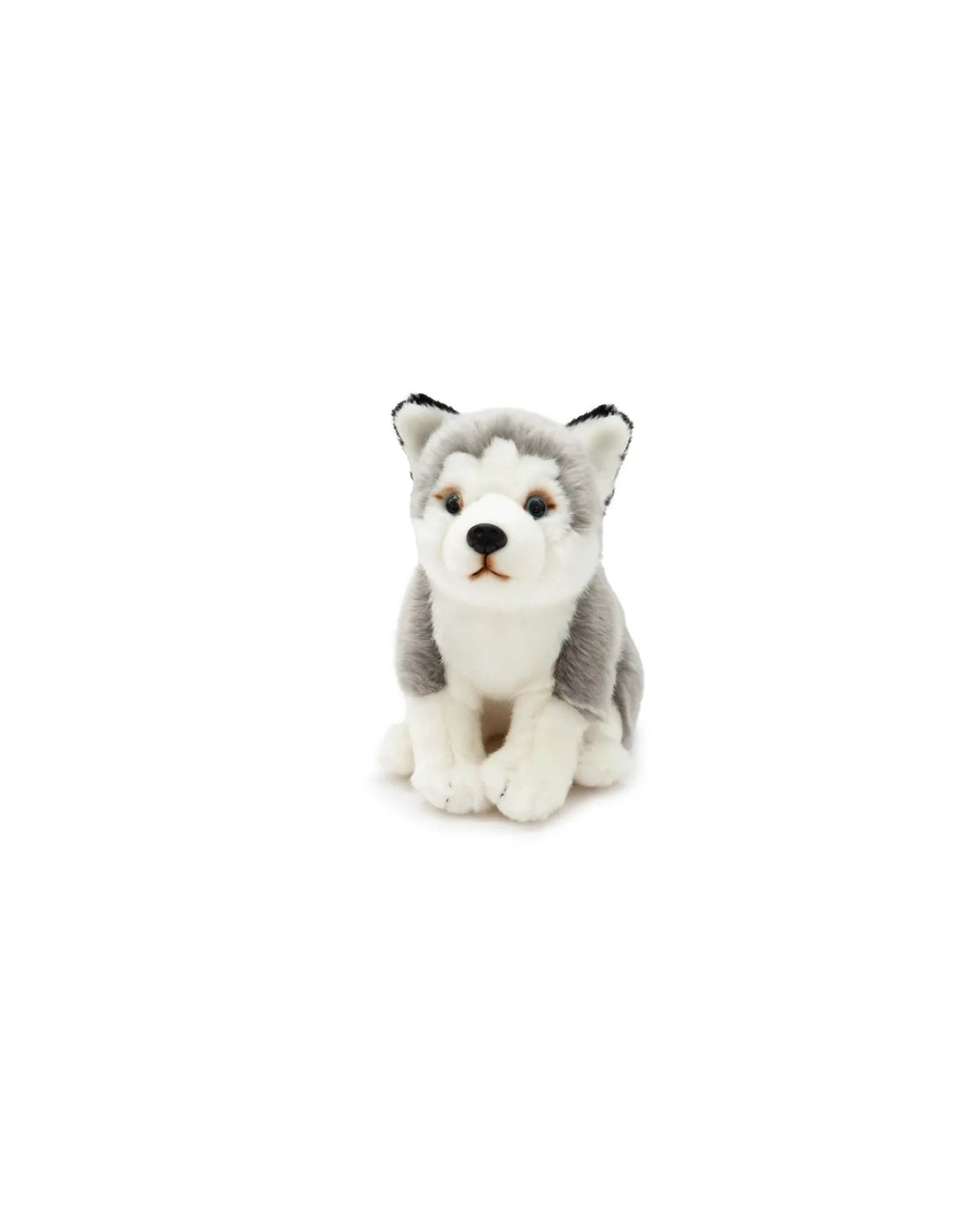 Animal Allsorts Henry Husky Cheap