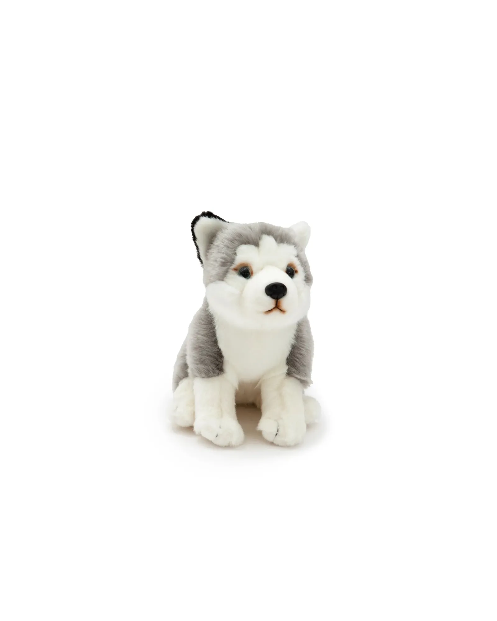 Animal Allsorts Henry Husky Cheap