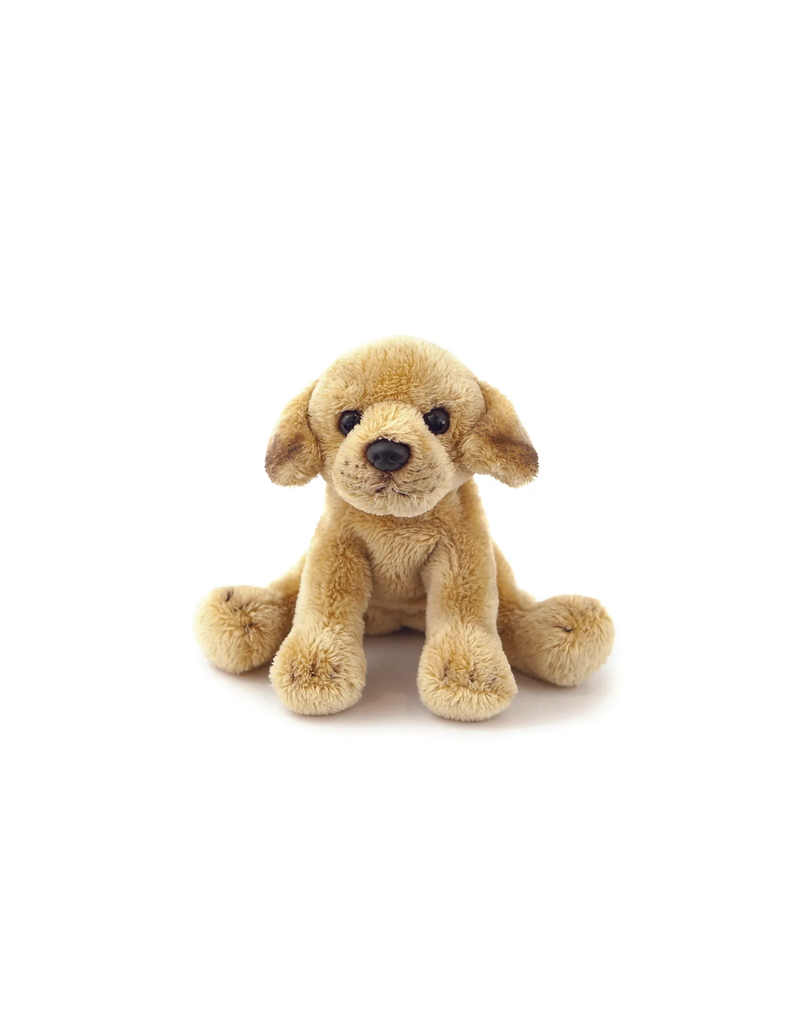 Animal Allsorts Marley Junior Labrador Small Cheap