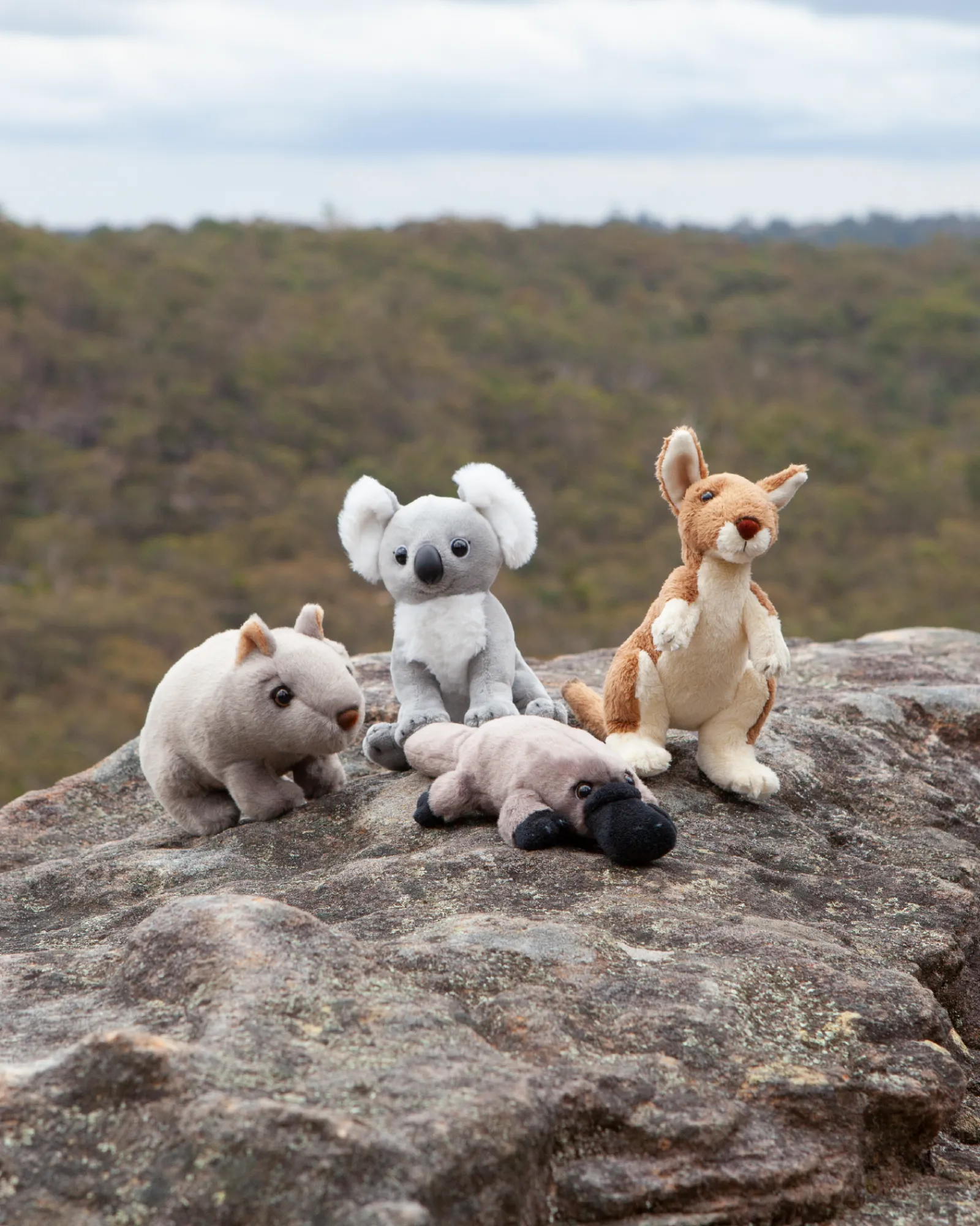 Animal Allsorts Pat The Platypus Small Outlet