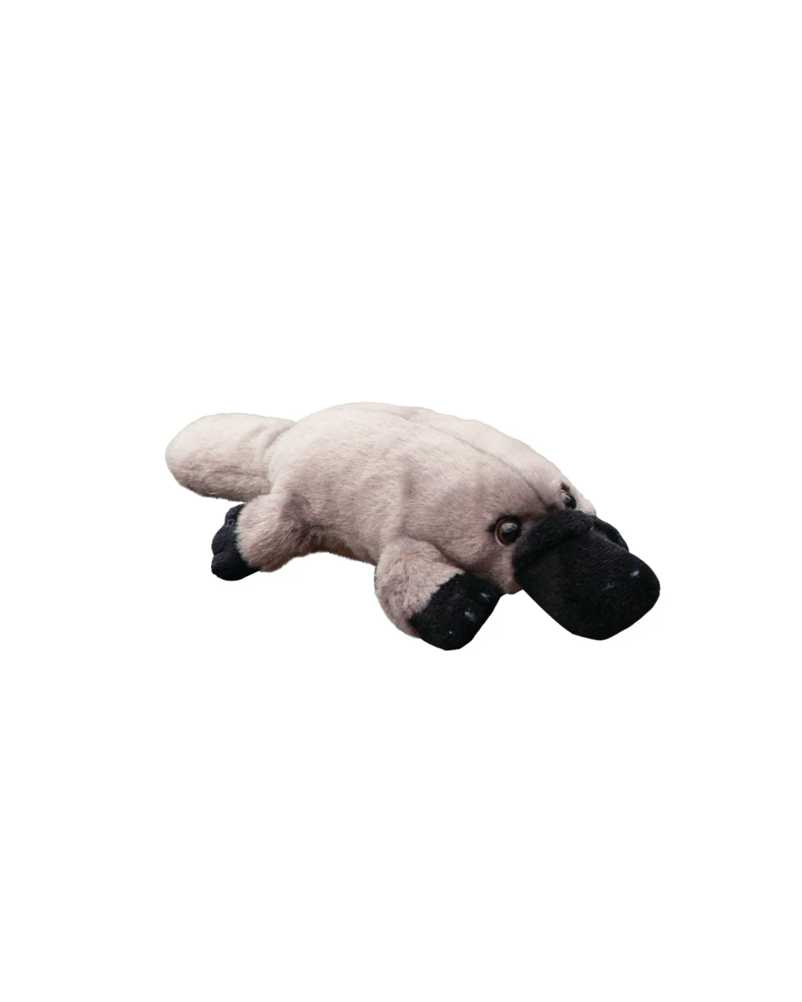 Animal Allsorts Pat The Platypus Small Outlet