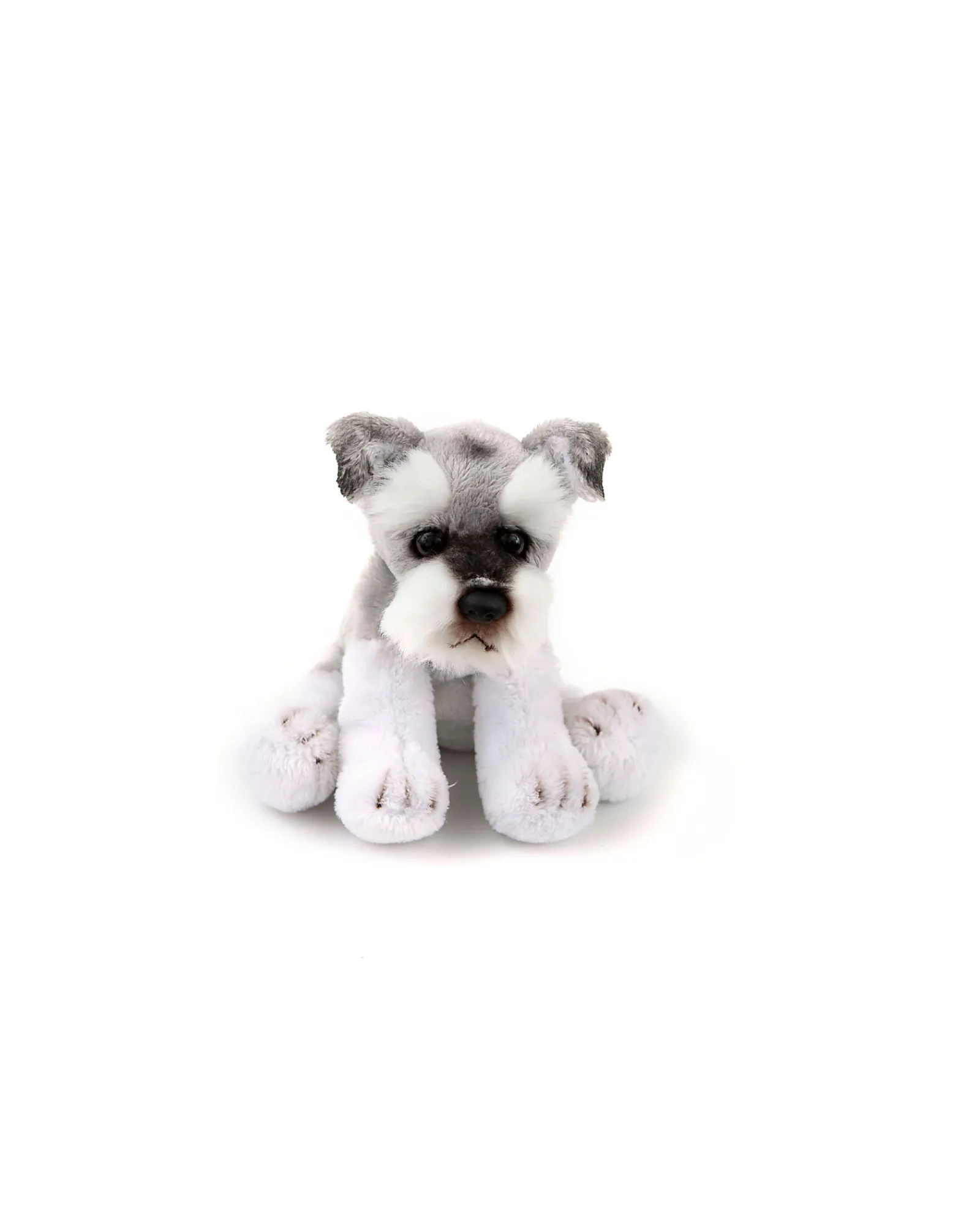 Animal Allsorts Schubert Junior Schnauzer Small Best Sale