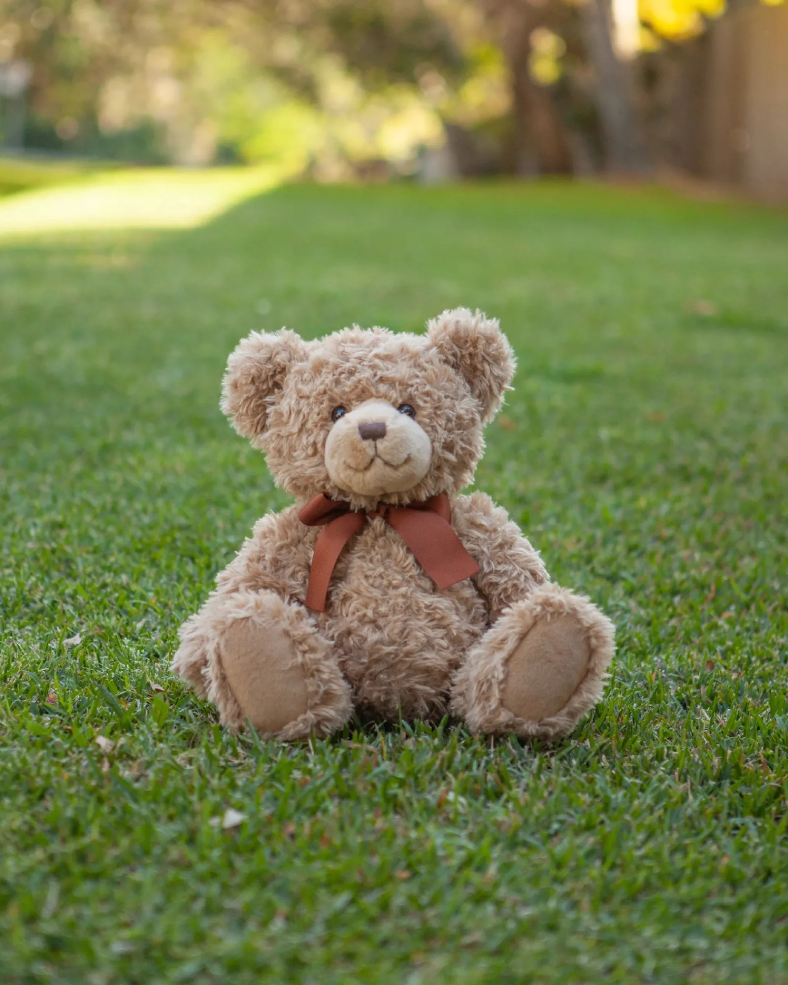 Animal Allsorts Taylor Large Bear Fashion
