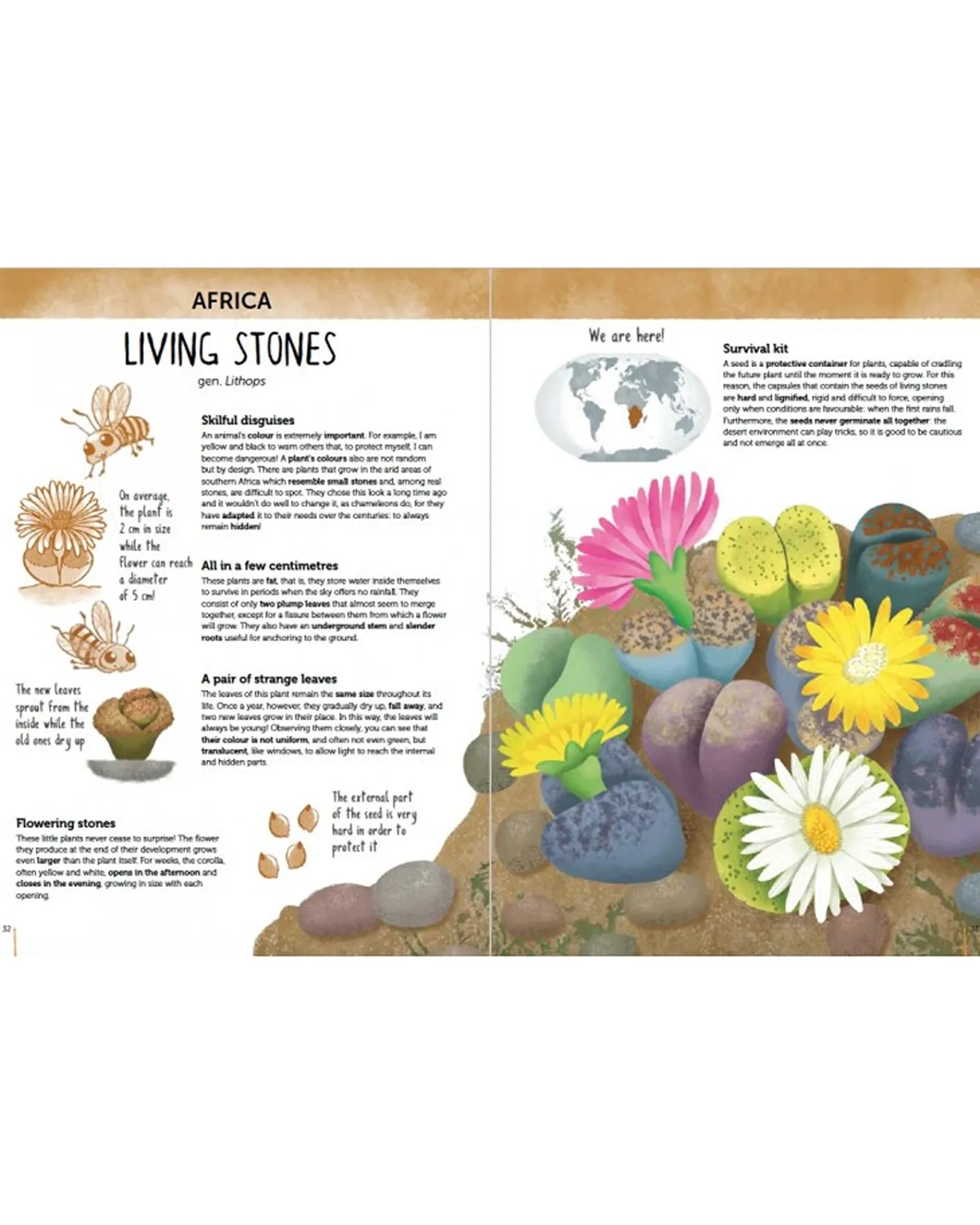 Sassi Atlas Of Biodiversity: Flora Of The World Kids Cheap