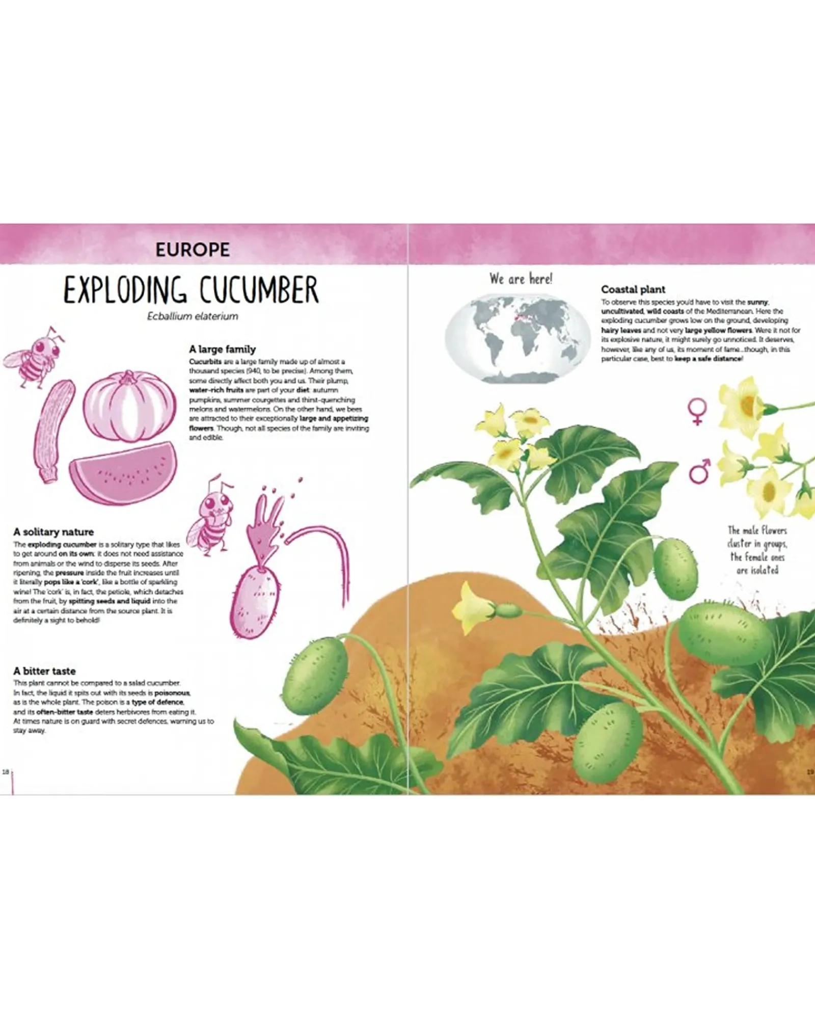 Sassi Atlas Of Biodiversity: Flora Of The World Kids Cheap