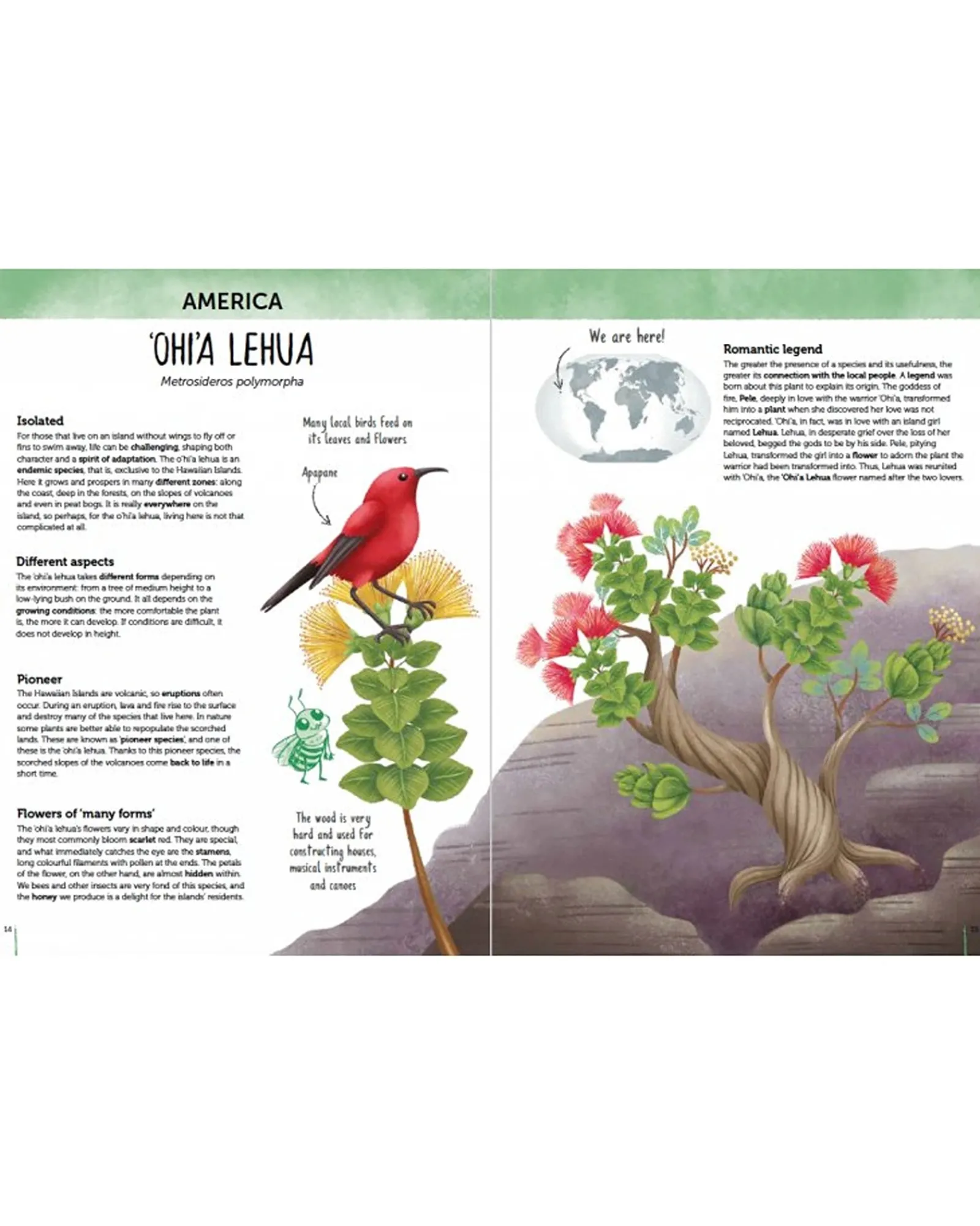 Sassi Atlas Of Biodiversity: Flora Of The World Kids Cheap