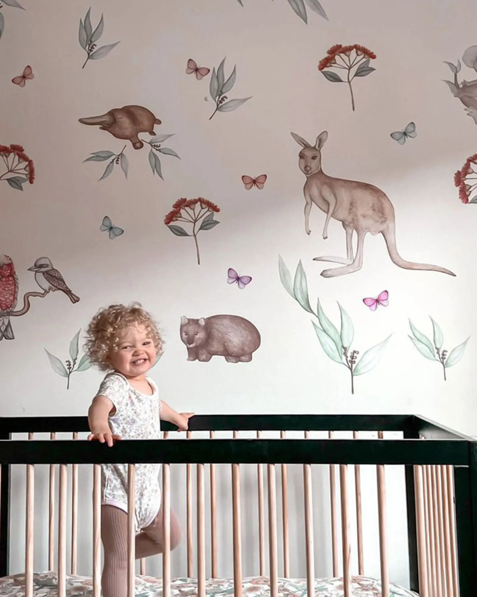 Polka Prints Australian Animals Wall Decals Flash Sale