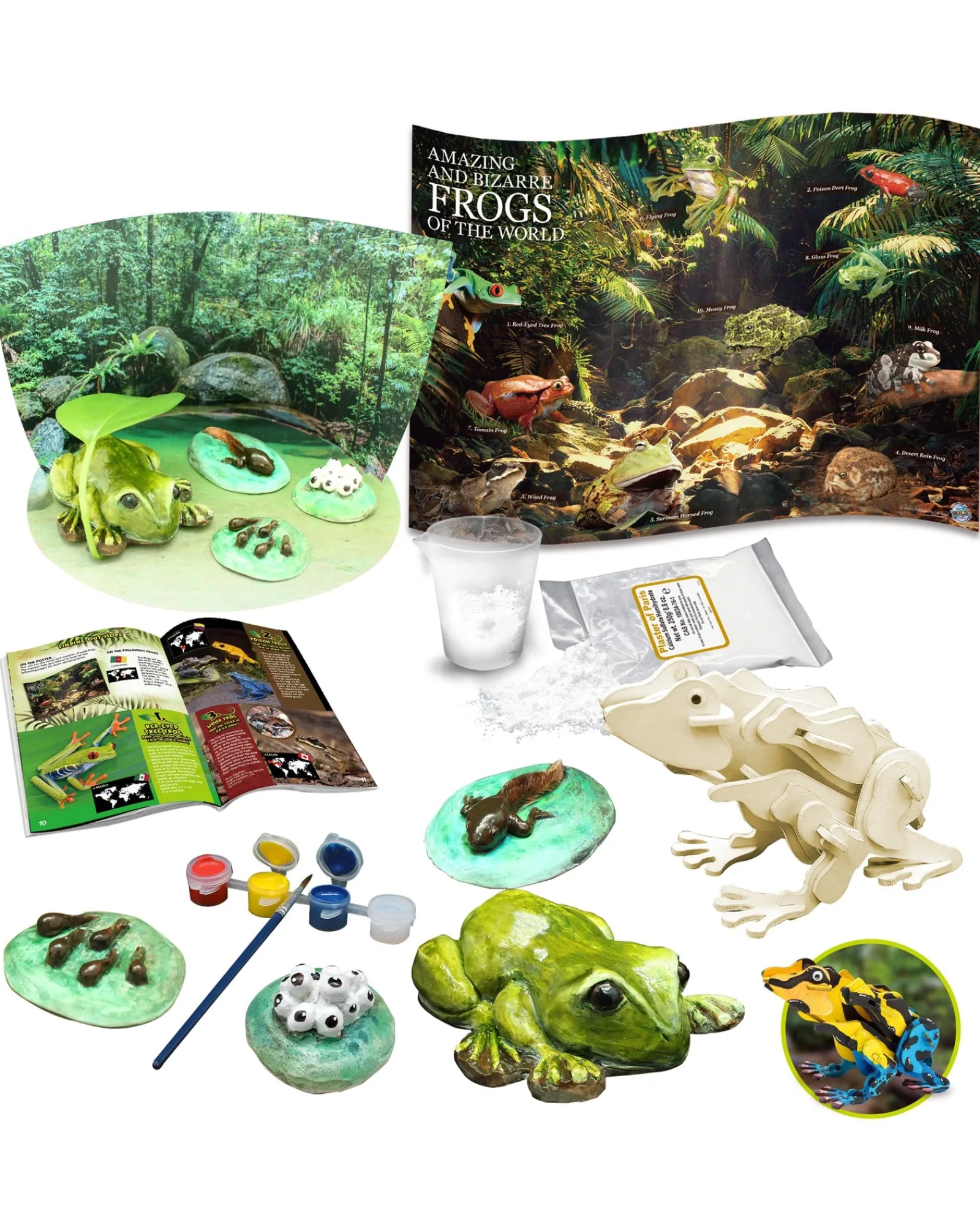 Australian Geographic Amazing And Bizarre Frogs Of The World New