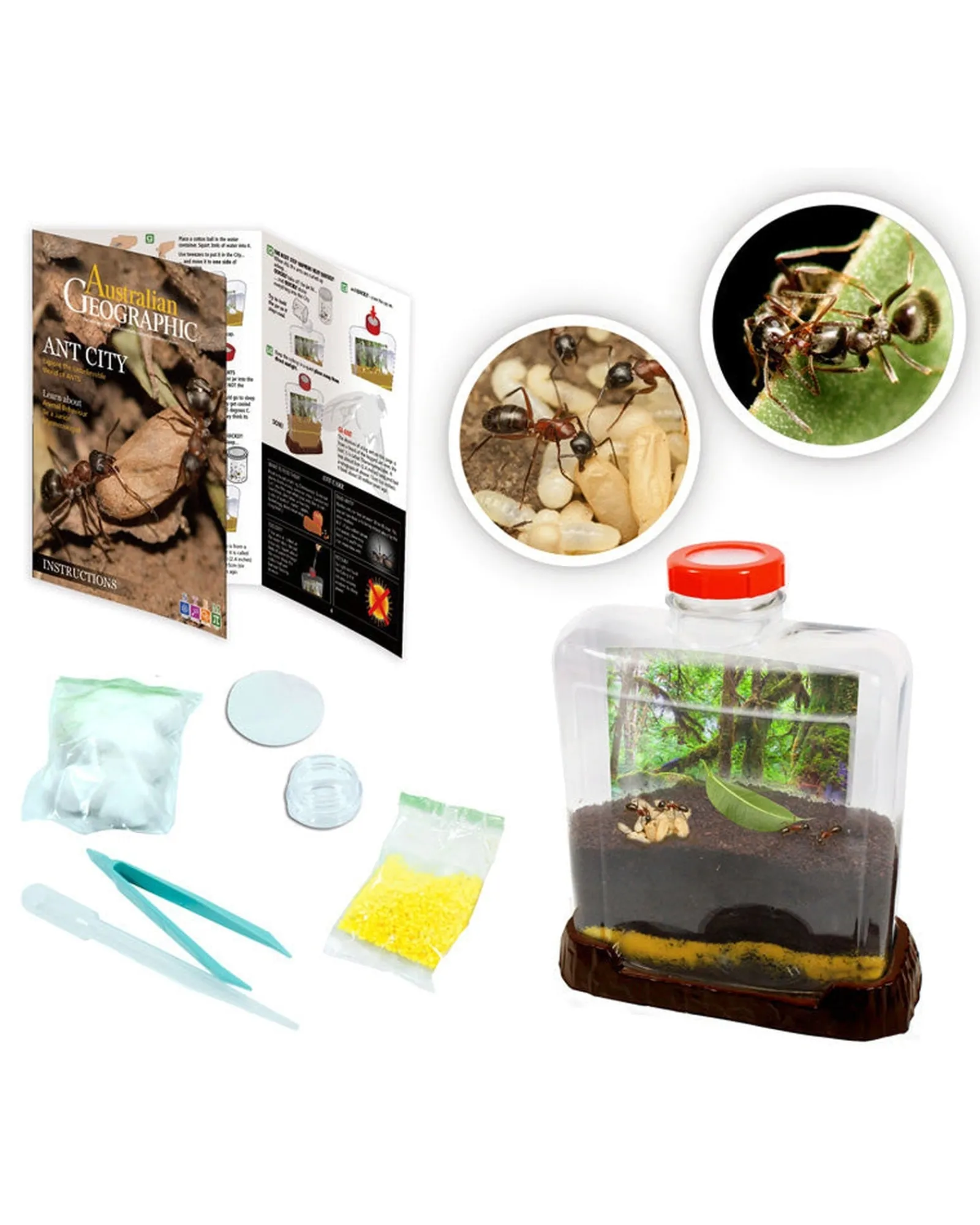 Australian Geographic Ant City Sale