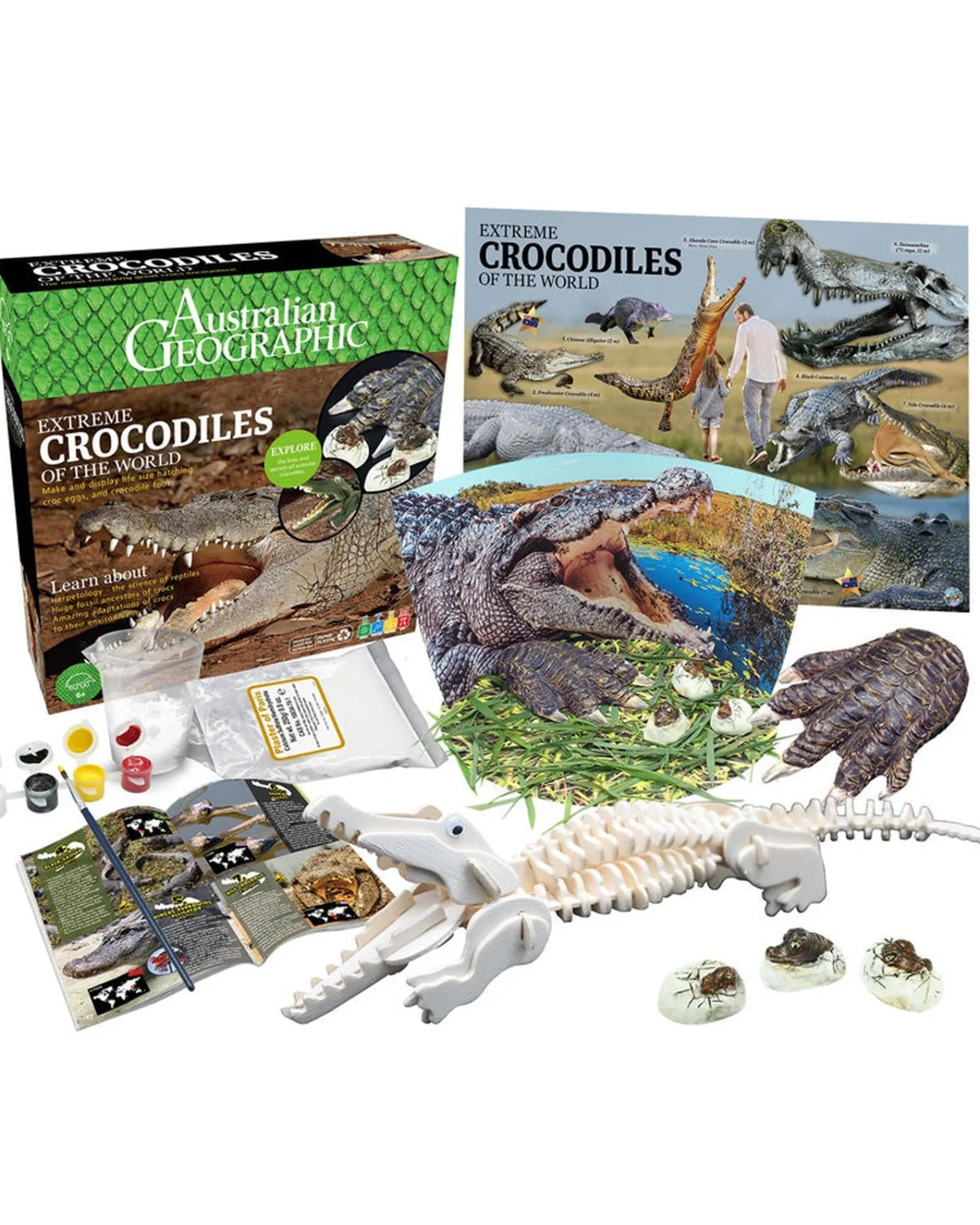 Australian Geographic Crocodiles Of The World Clearance