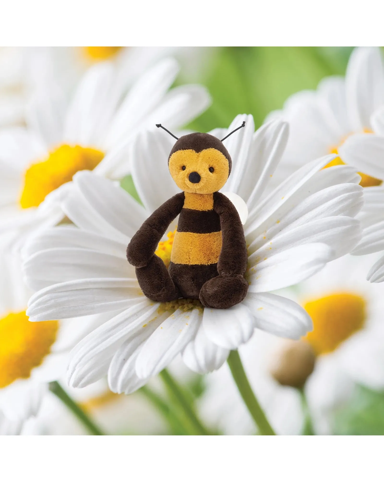 Jellycat Bashful Bee Medium Shop