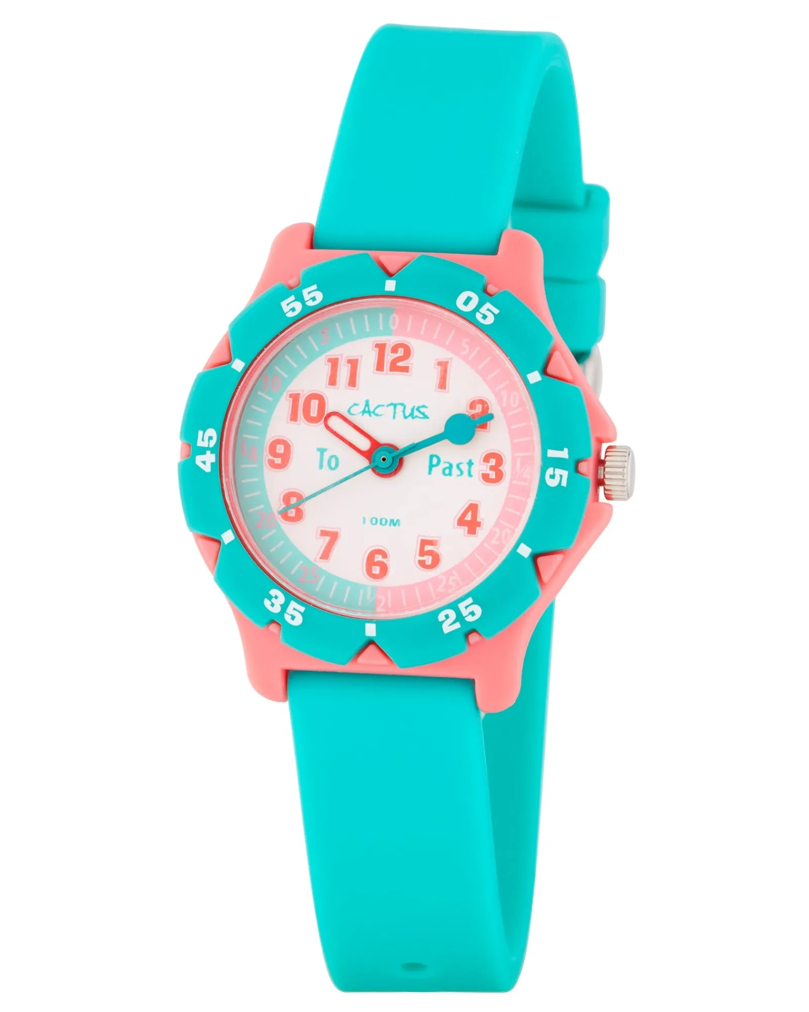 Cactus Hero Blue Shop