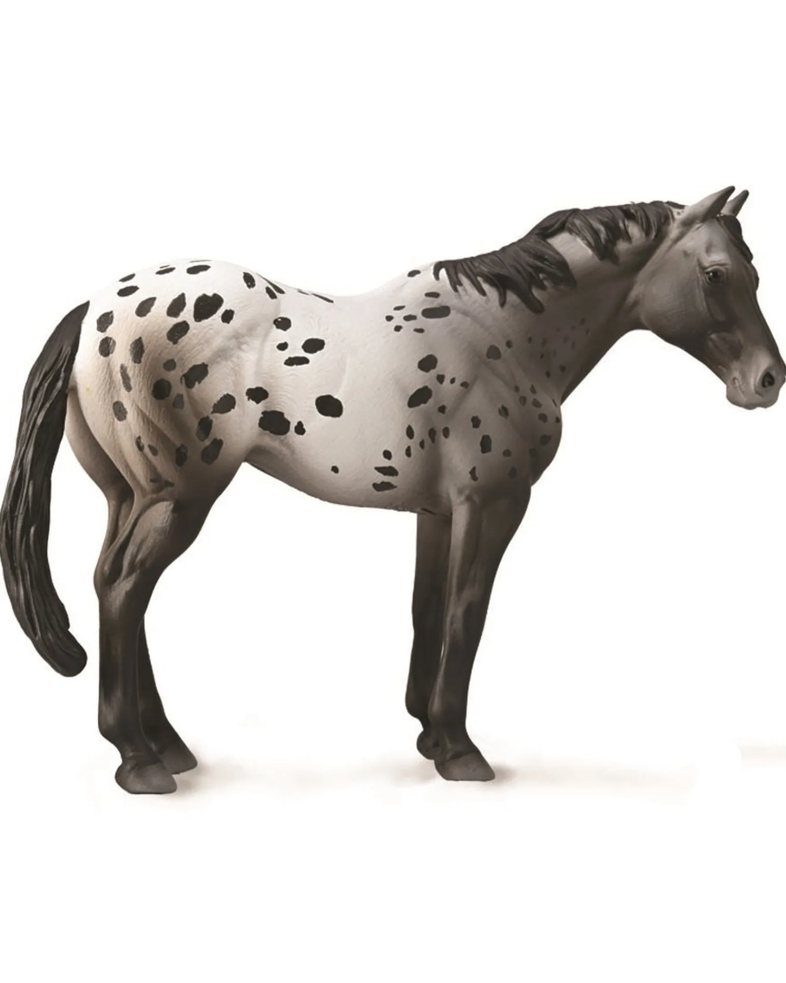 Collecta Appaloosa Blue Roan Extra Large New