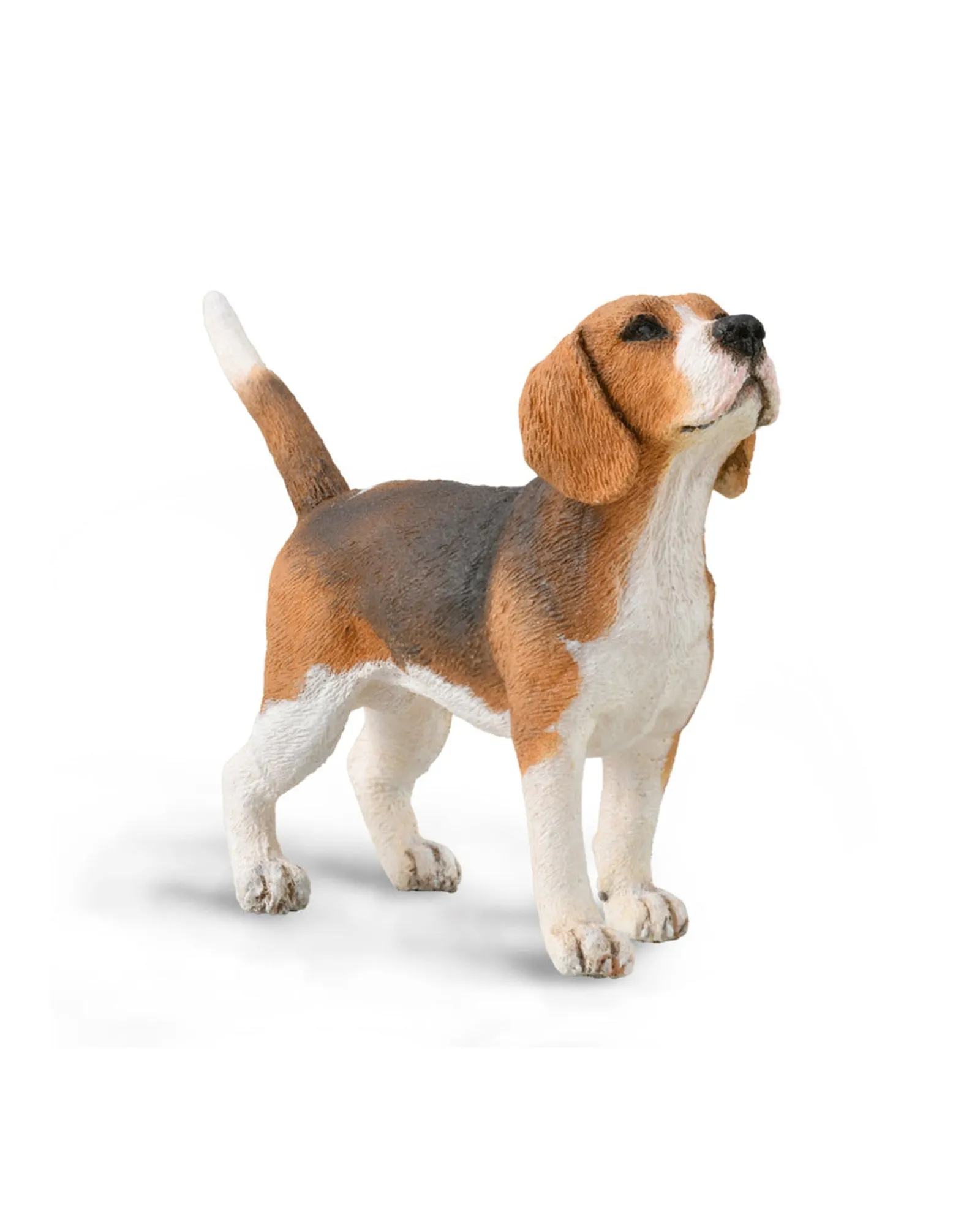 Collecta Beagle M Shop