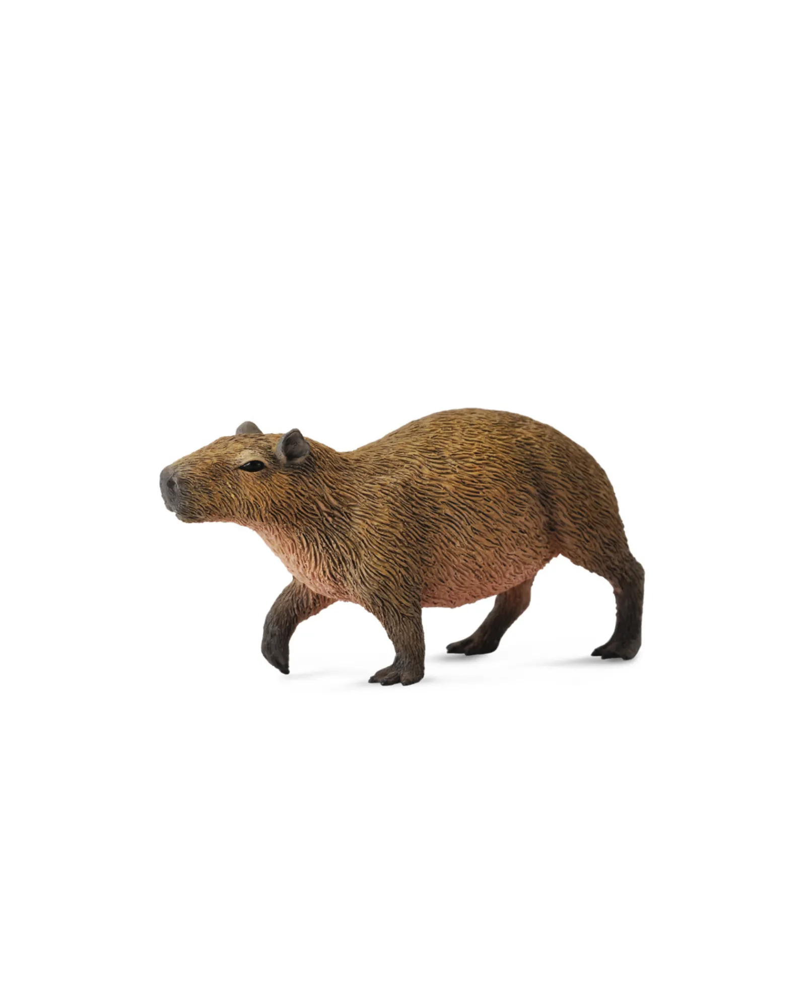 Collecta Capybara Medium Best Sale
