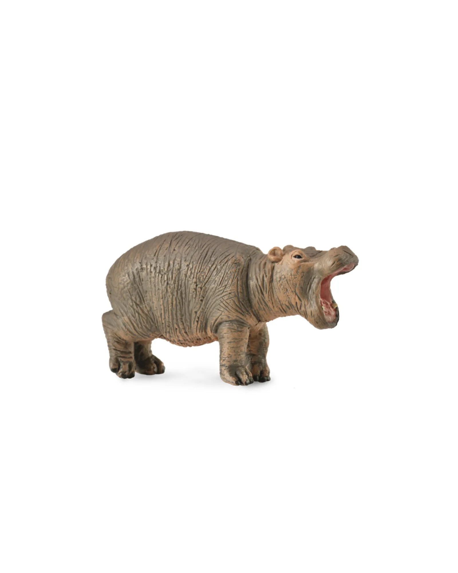 Collecta Hippopotamus Calf Small Store