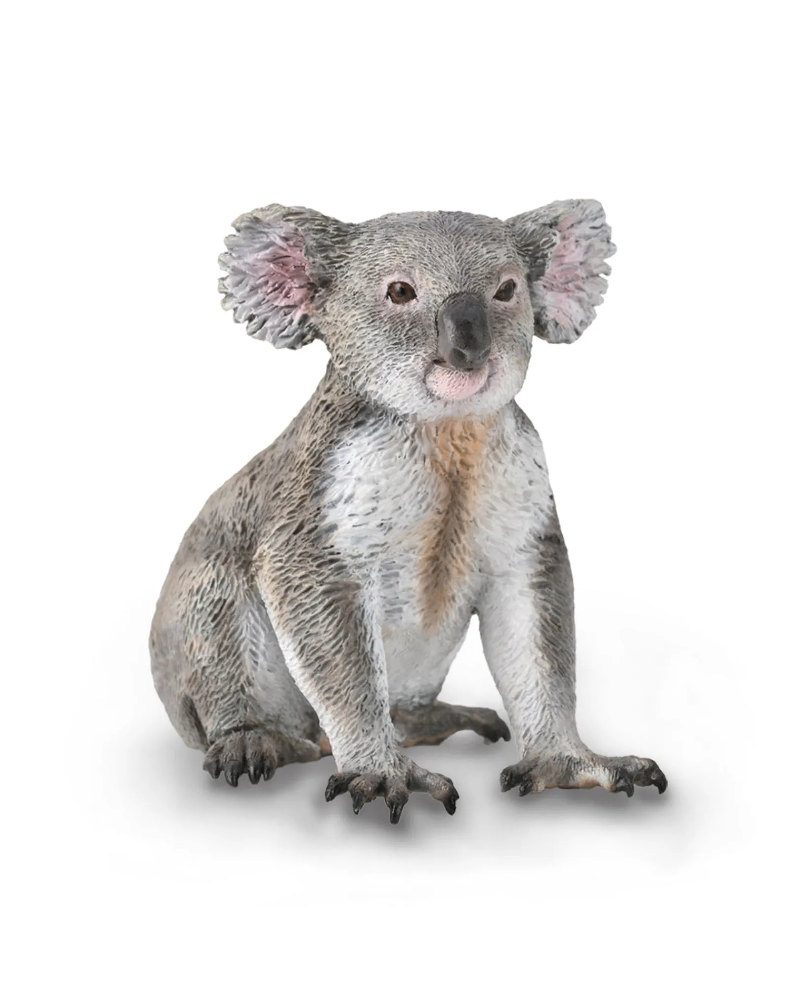 Collecta Koala M Sale