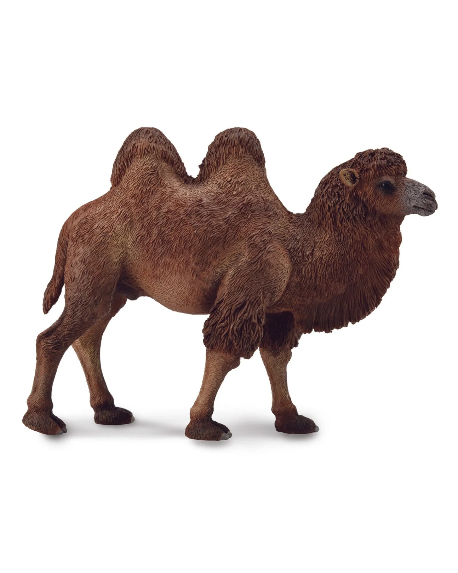 Collecta L Bactrian Camel Cheap
