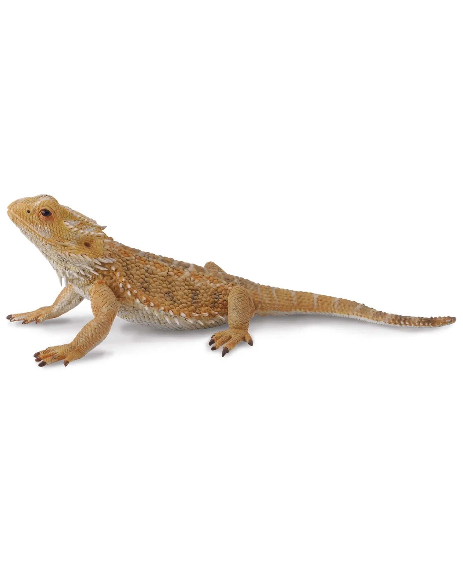 Collecta L Bearded Dragon Lizard Cheap
