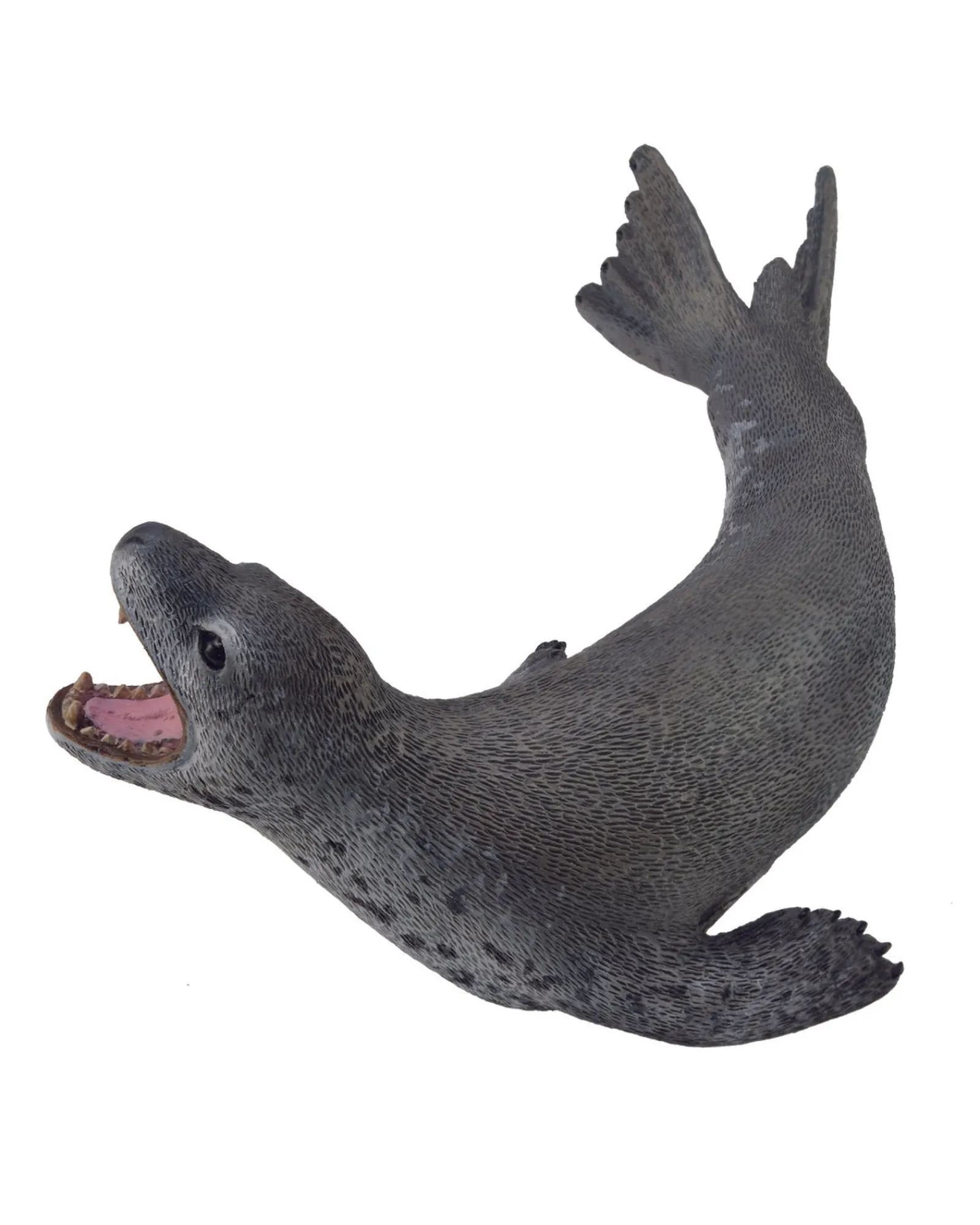 Collecta L Leopard Seal Cheap