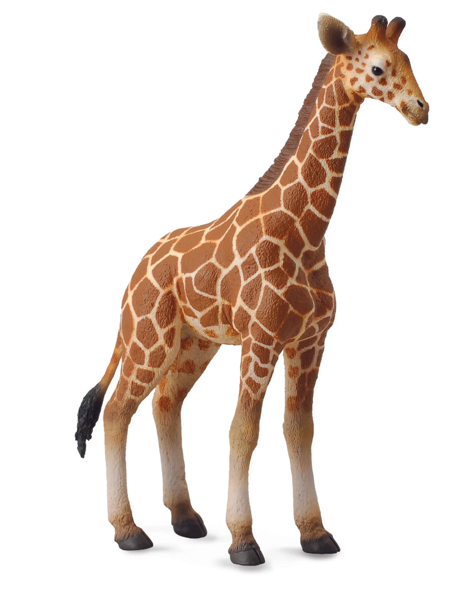 Collecta L Reticulated Giraffe Calf New