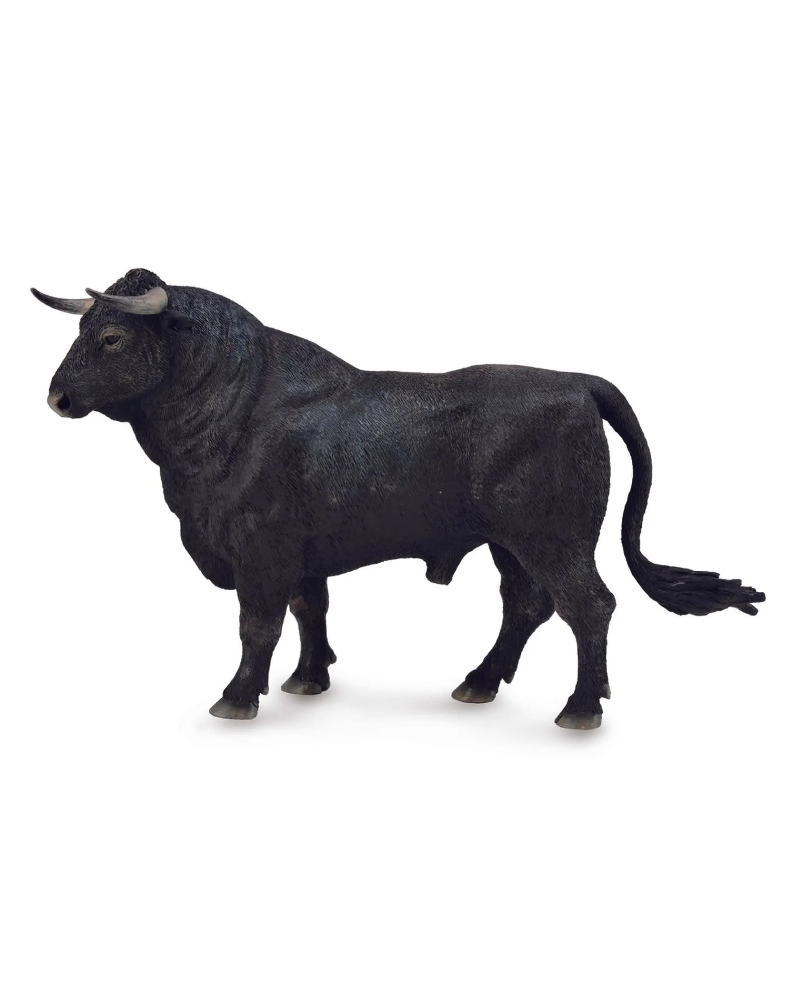 Collecta L Spanish Fighting Bull Sale