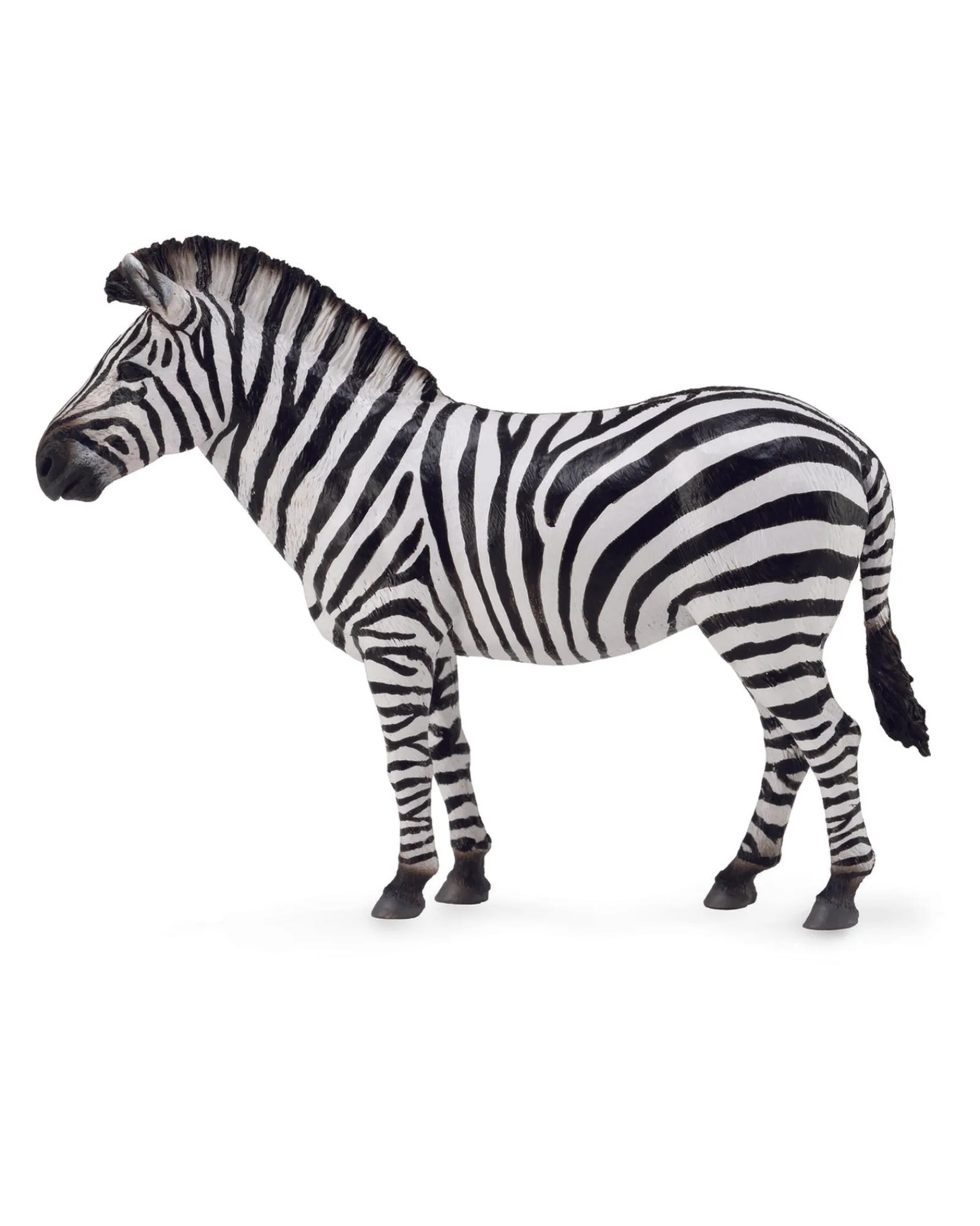 Collecta L Zebra Common Sale
