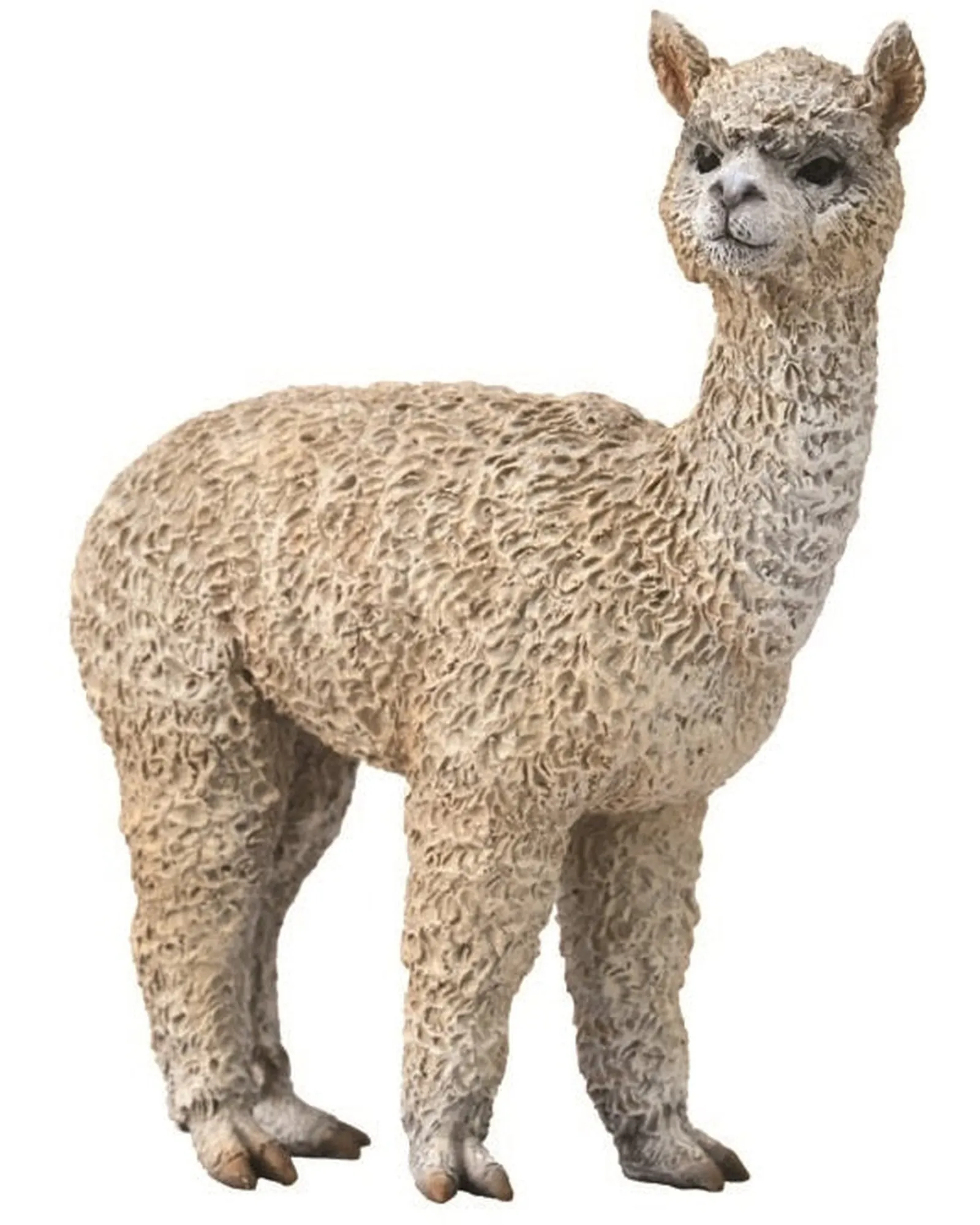 Collecta M Alpaca Hot