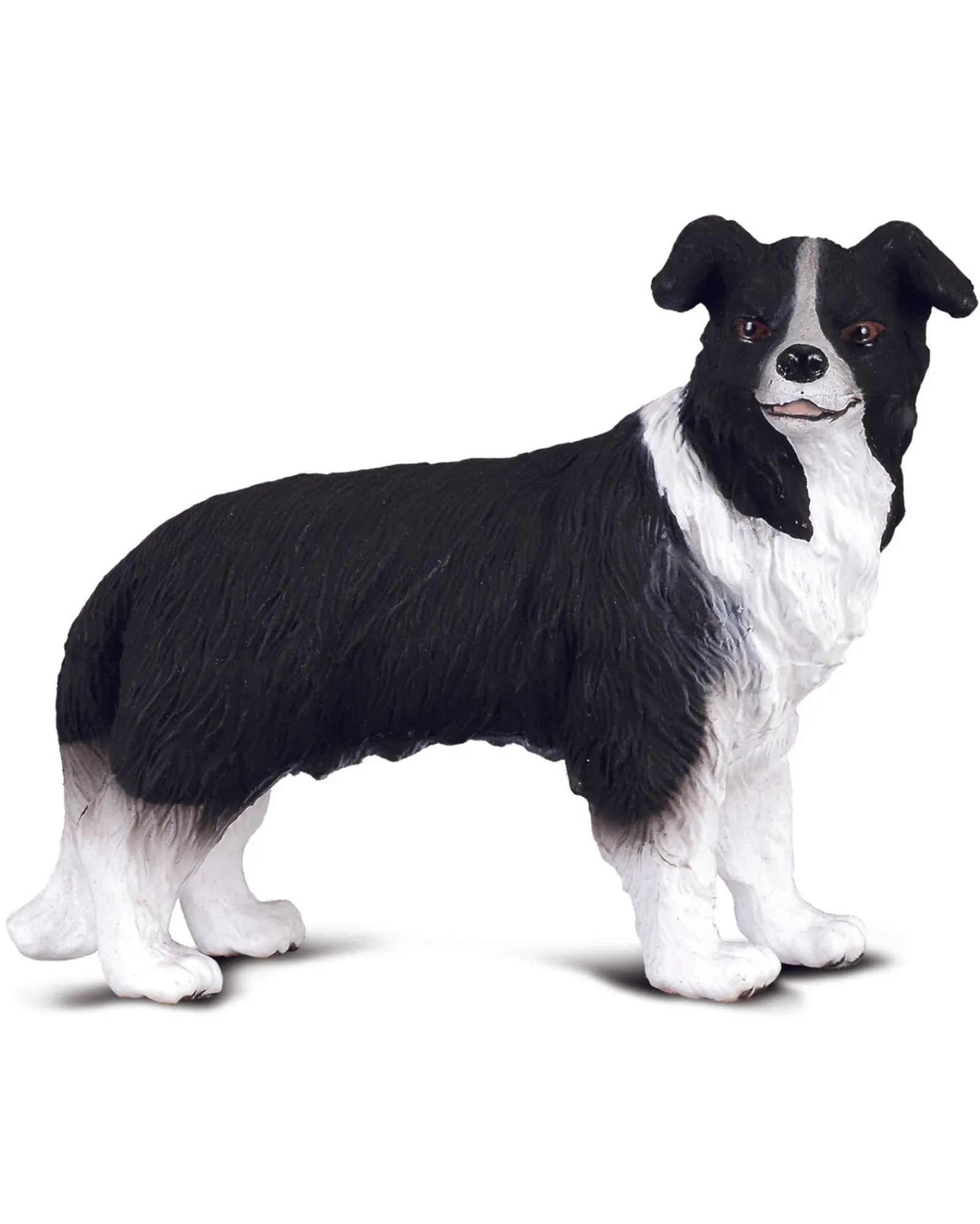 Collecta M Border Collie Shop