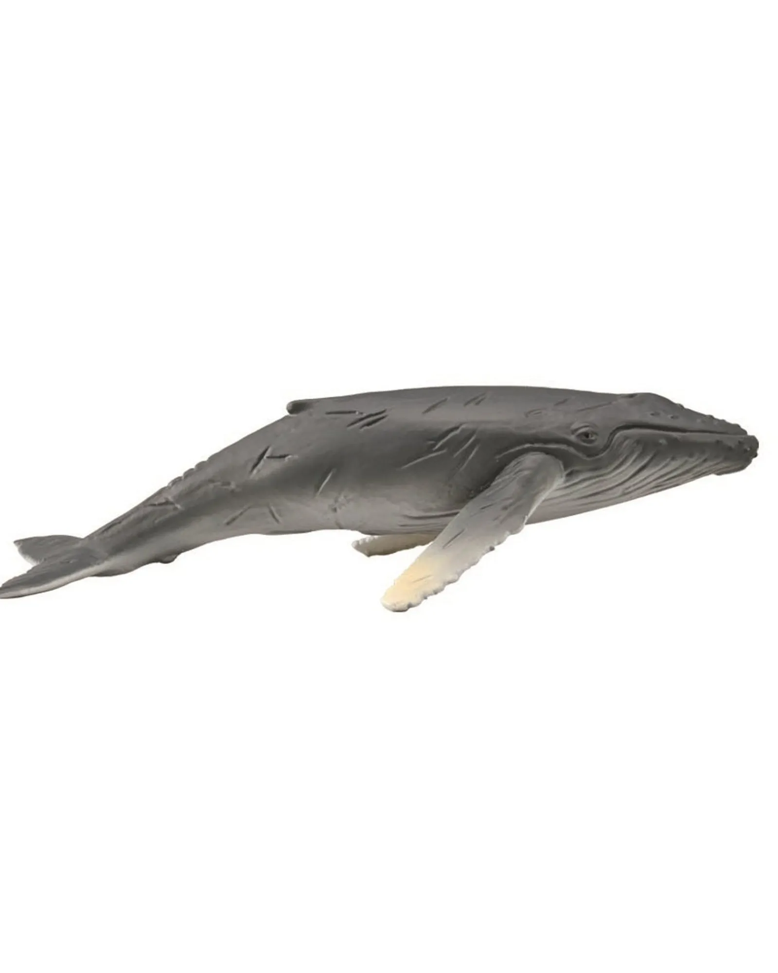 Collecta M Humpback Whale Calf New