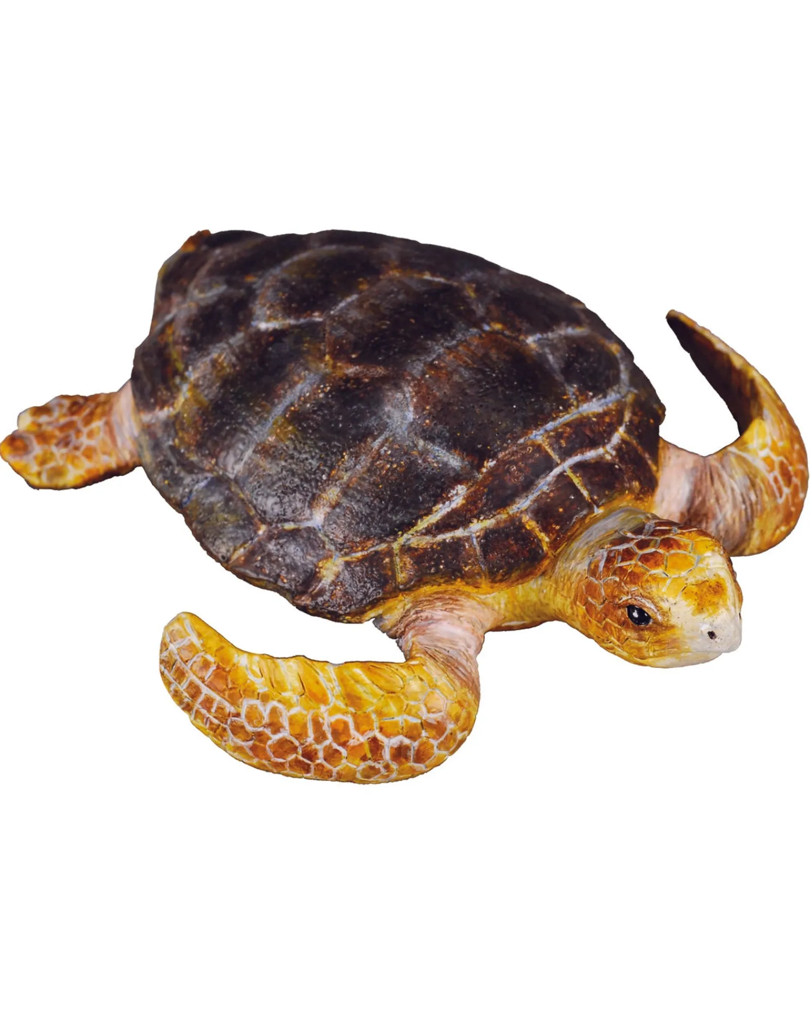 Collecta M Loggerhead Turtle Shop