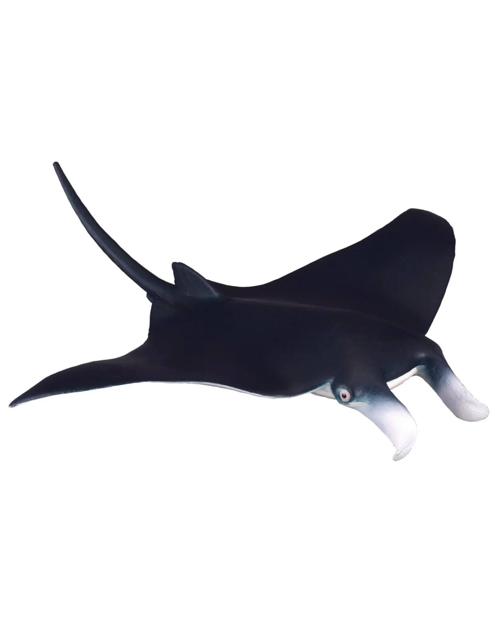 Collecta M Manta Ray Outlet