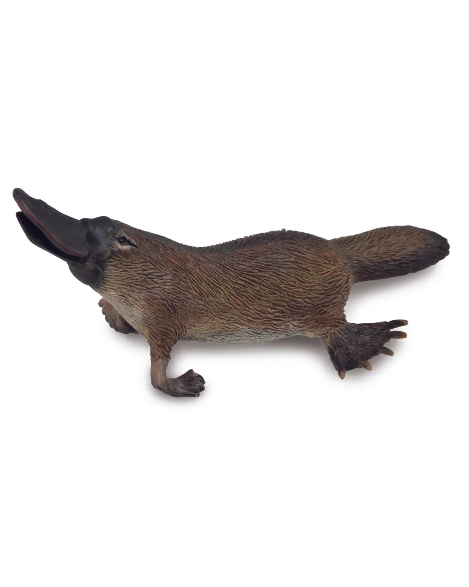 Collecta M Platypus Clearance