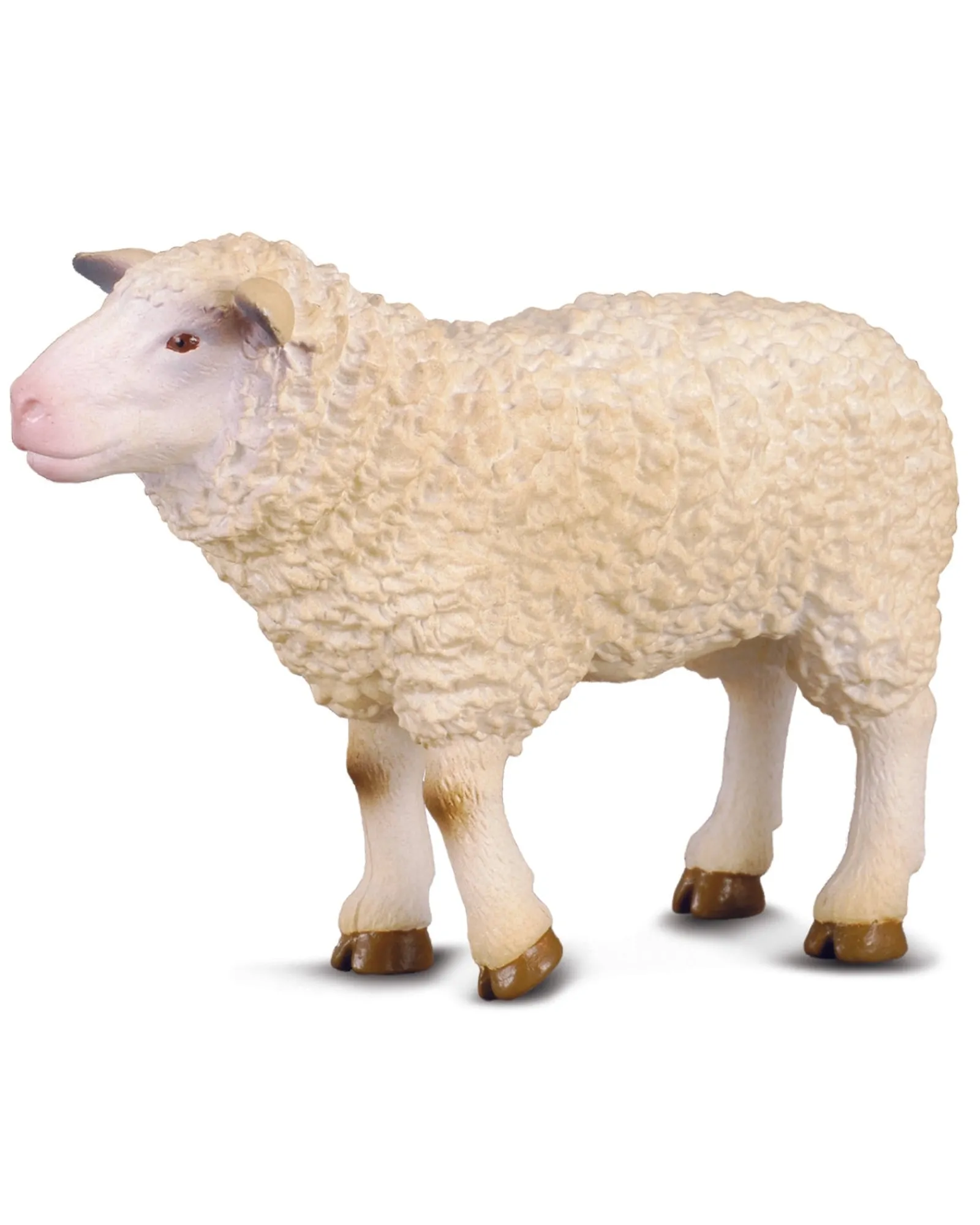 Collecta M Sheep New