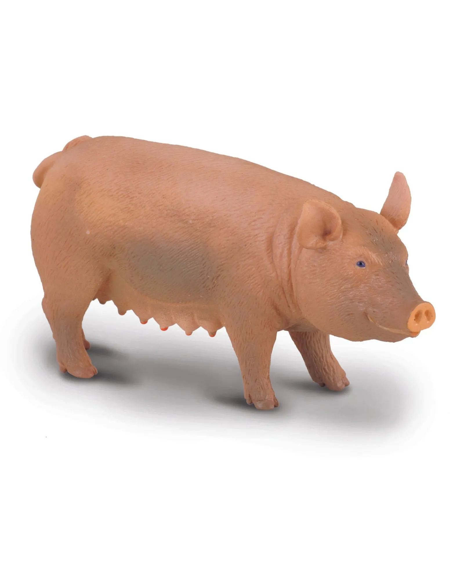 Collecta M Sow Clearance