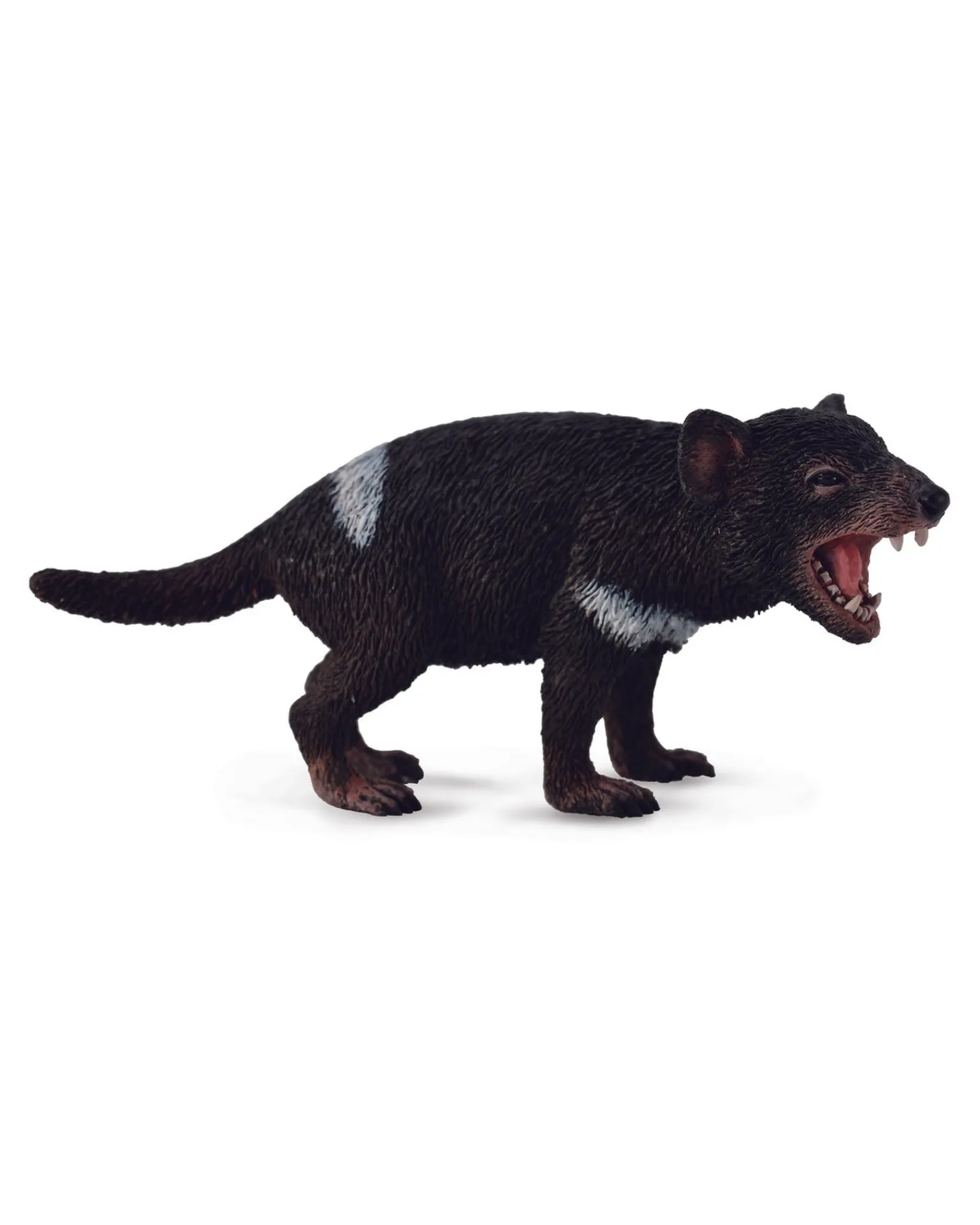 Collecta M Tasmanian Devil Outlet