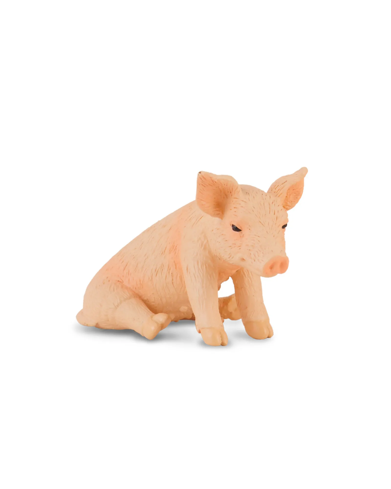 Collecta Piglet Sitting Small Hot