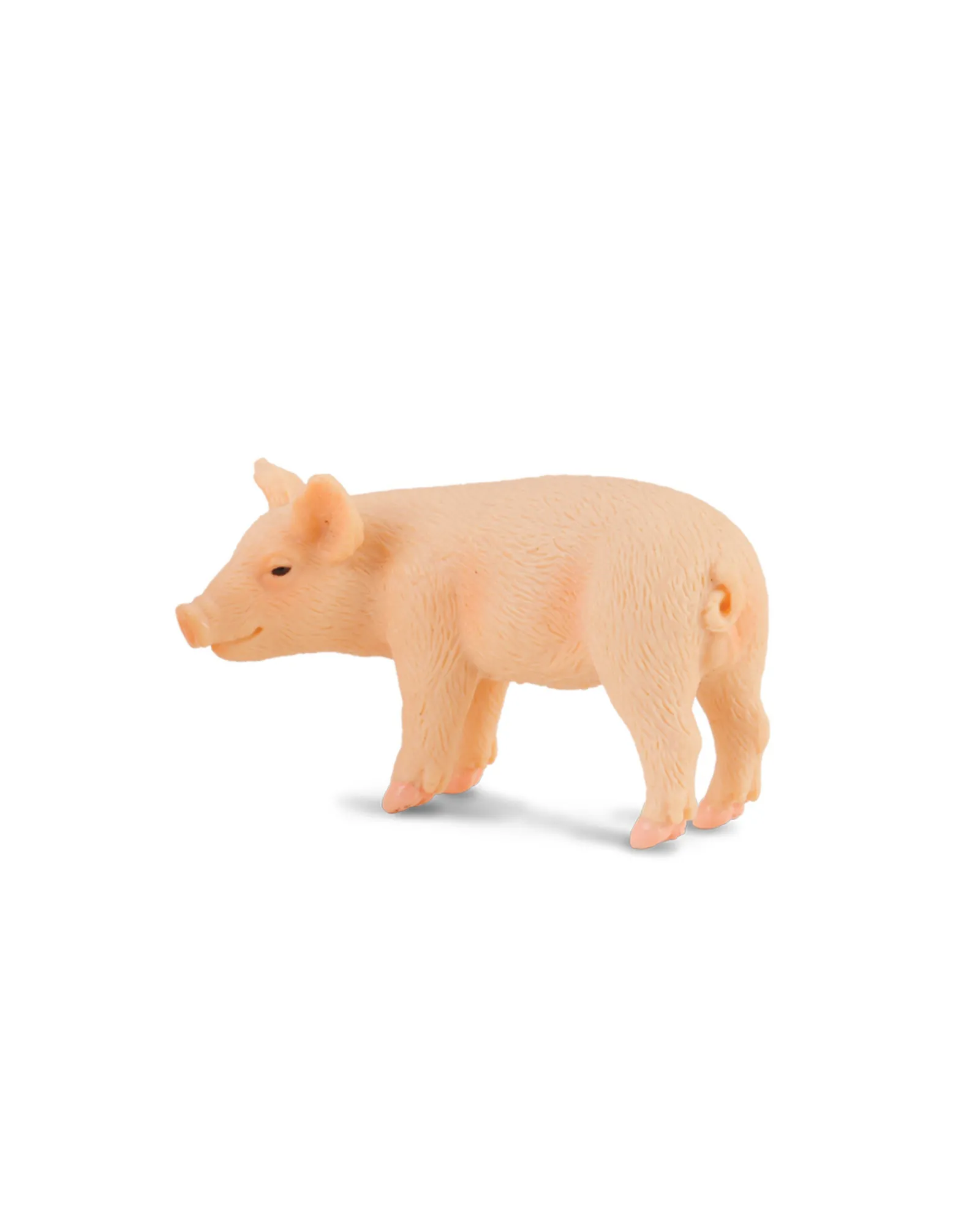 Collecta Piglet Standing Small New