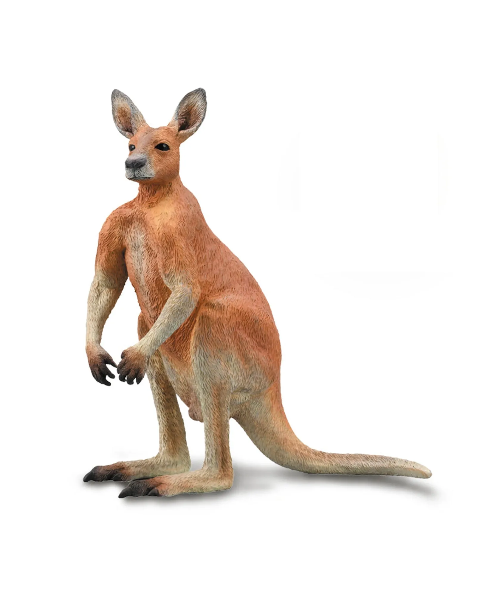 Collecta Red Kangaroo Male L Discount