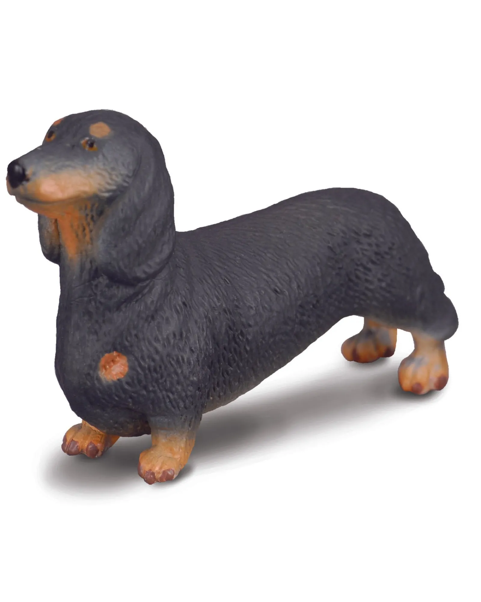 Collecta S Dachshund New