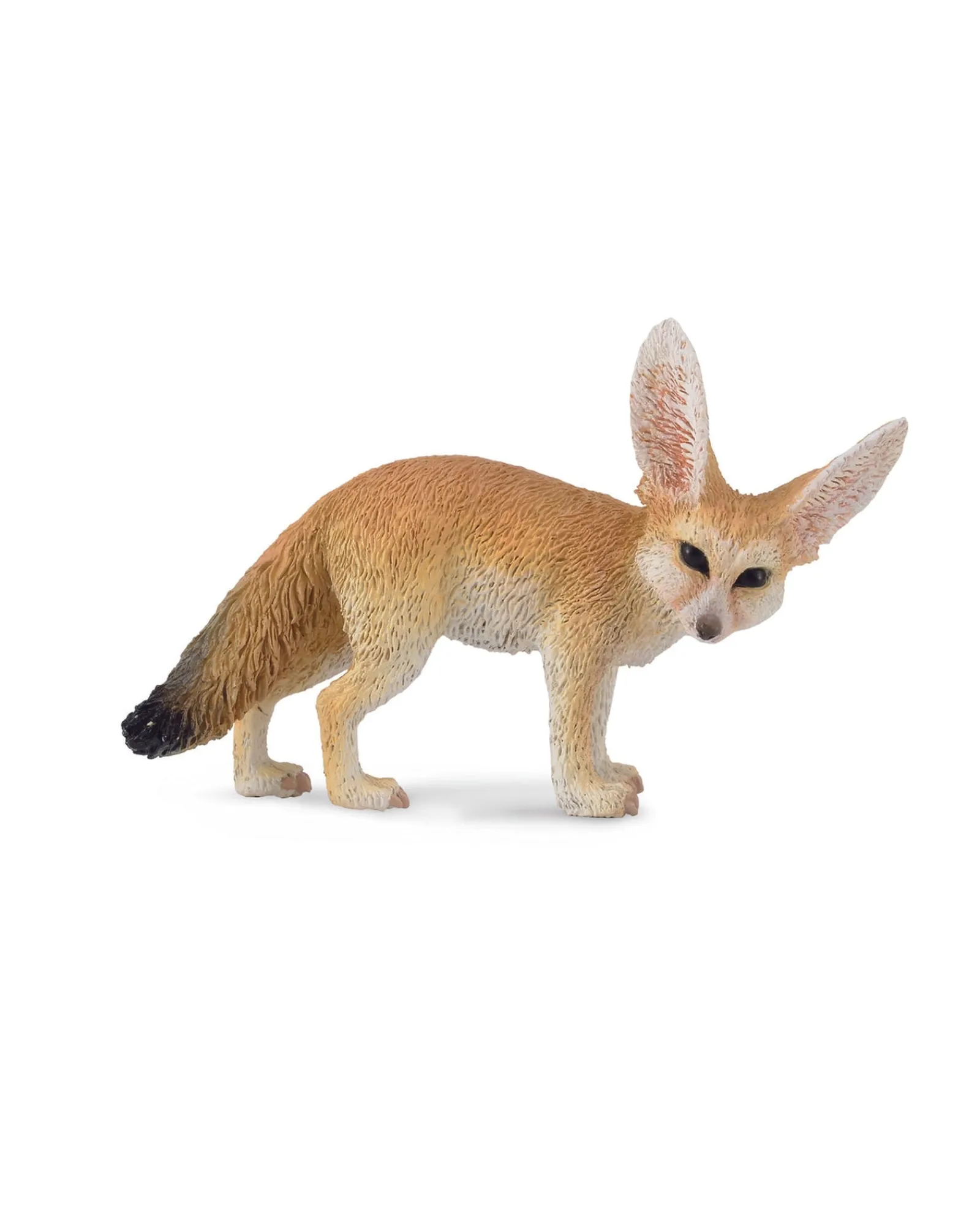 Collecta S Fennec Fox Store