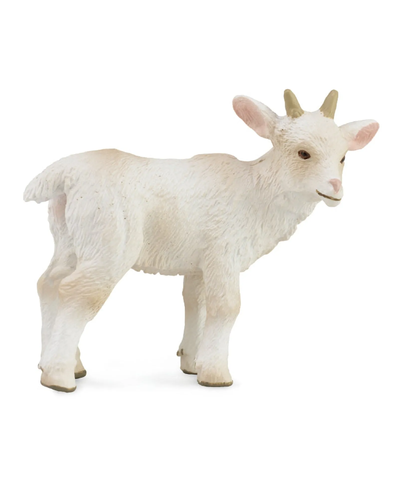 Collecta S Goat Kid Standing Best Sale