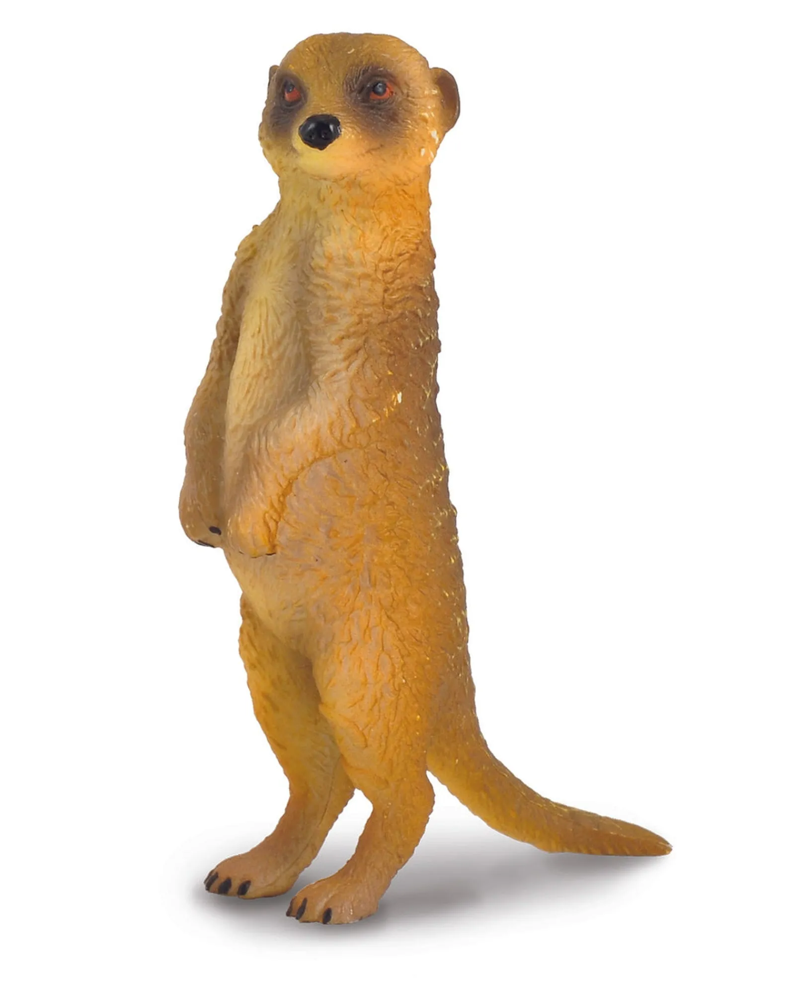 Collecta S Meerkat Standing Shop