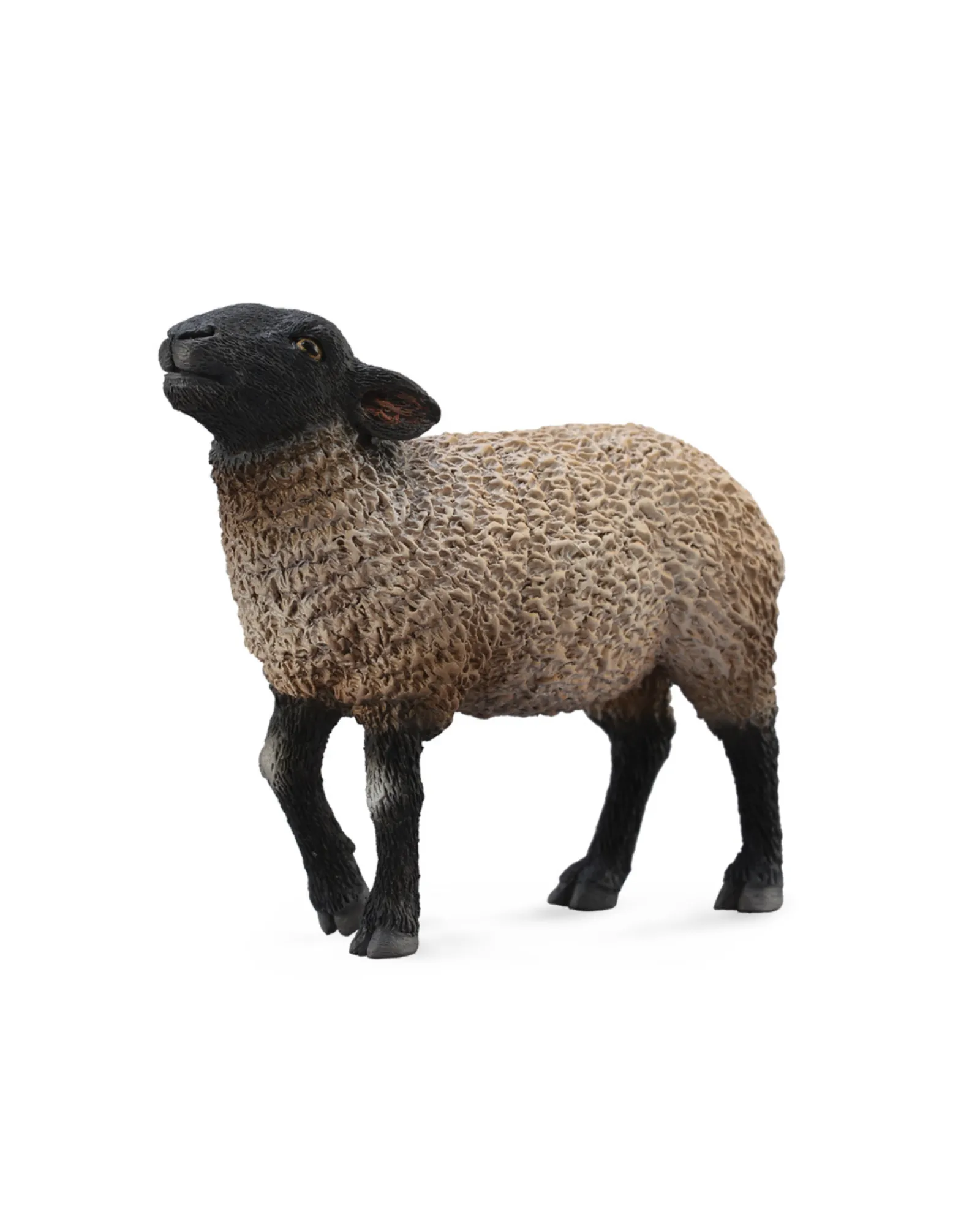 Collecta Suffolk Sheep Medium Discount