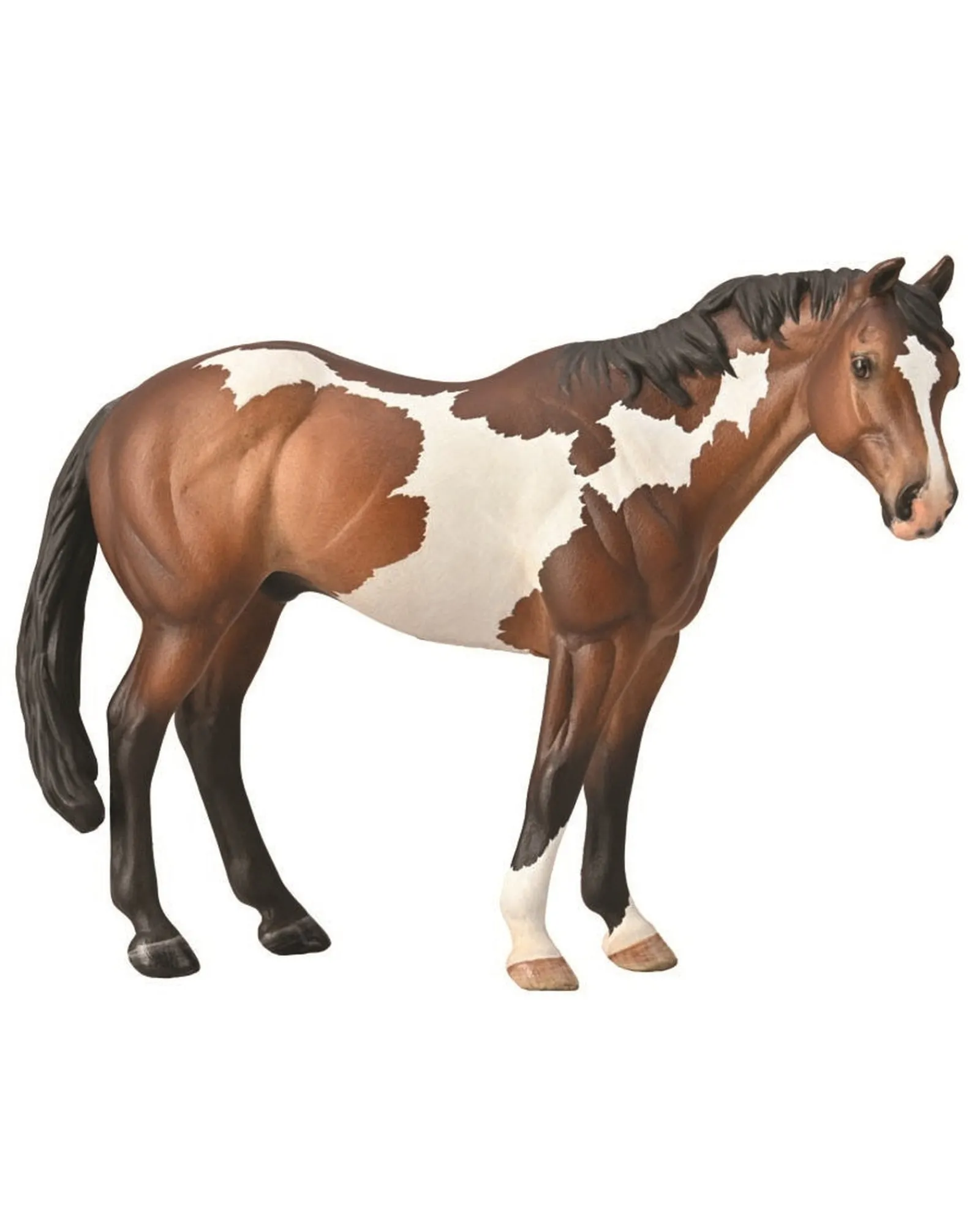 Collecta Xl Apoaloose Stallion Bay New