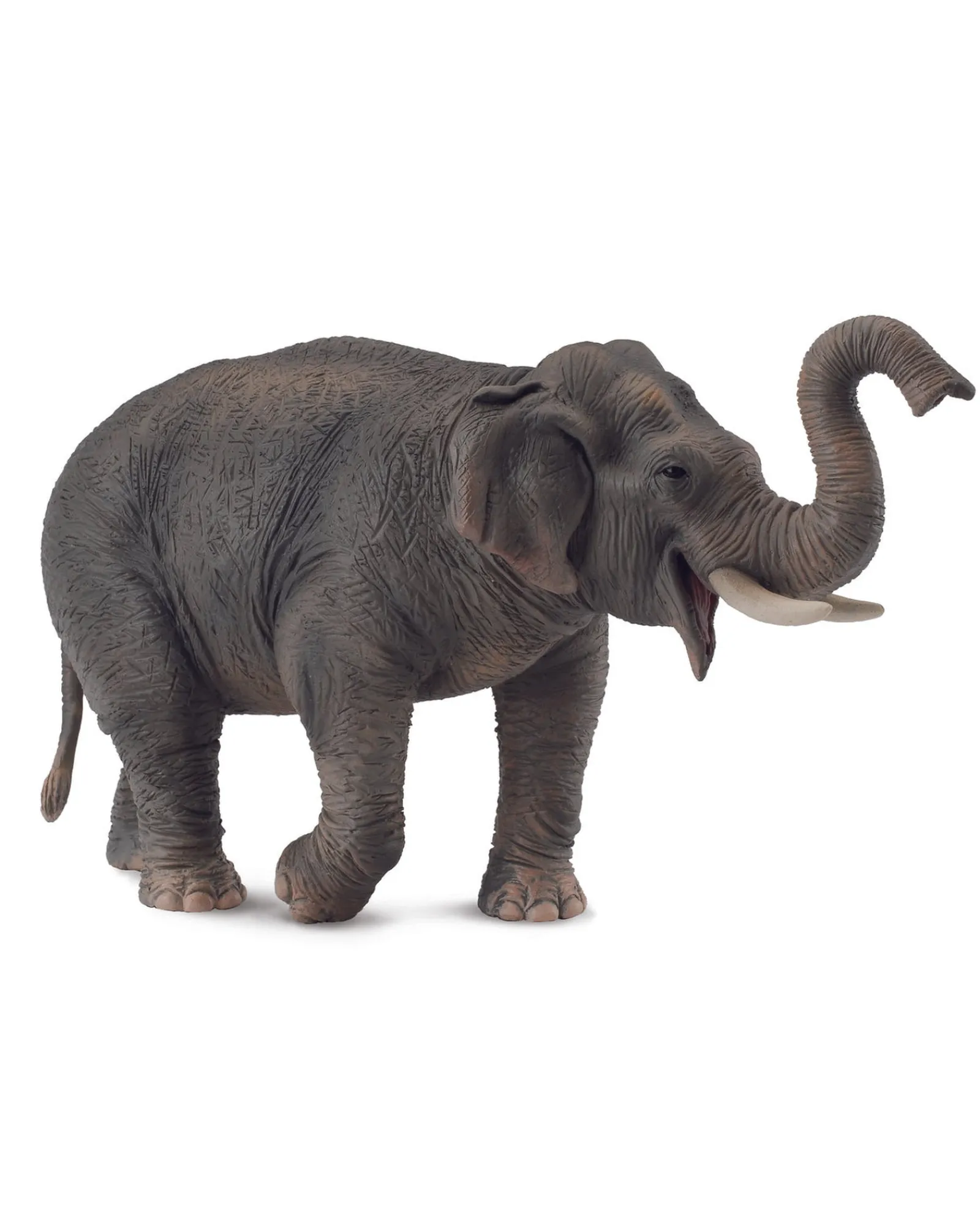 Collecta Xl Asian Elephant Hot