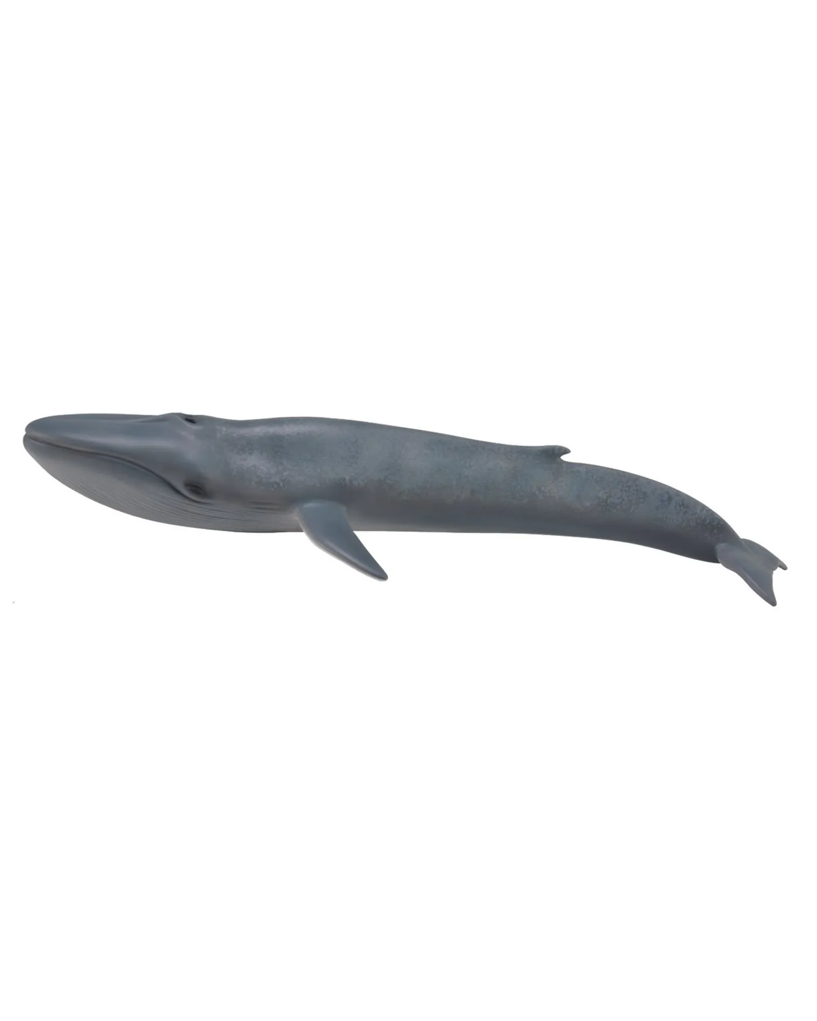Collecta Xl Blue Whale Cheap